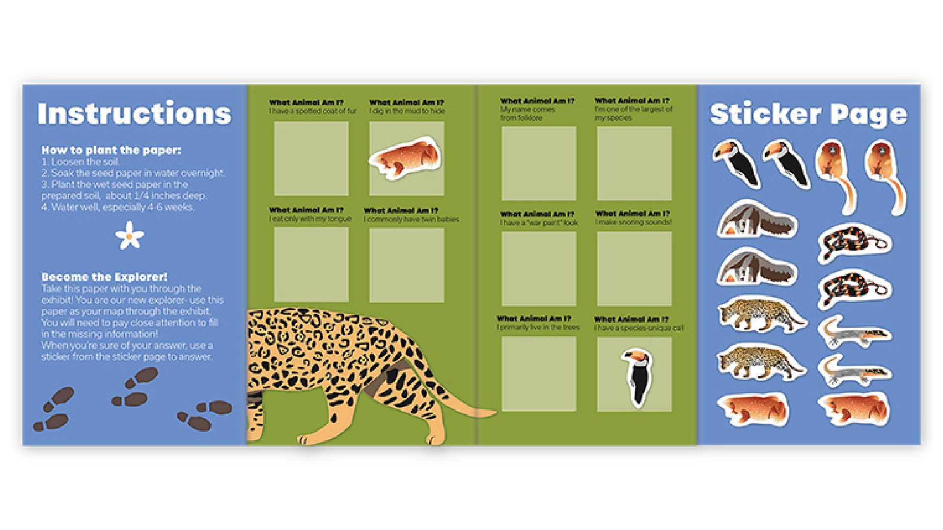 depths-of-the-amazon-museum-graphics-children-interactive-21.png