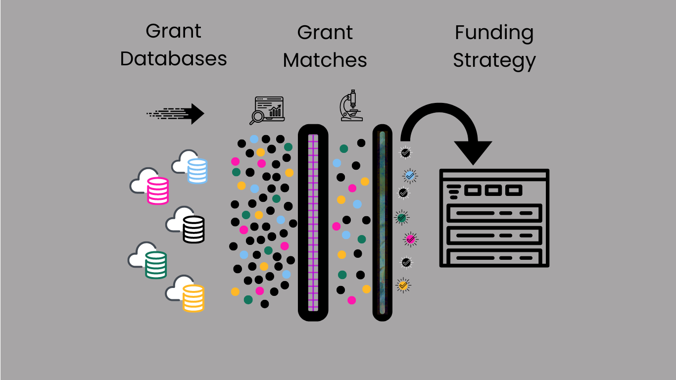 Funding Strategy Process