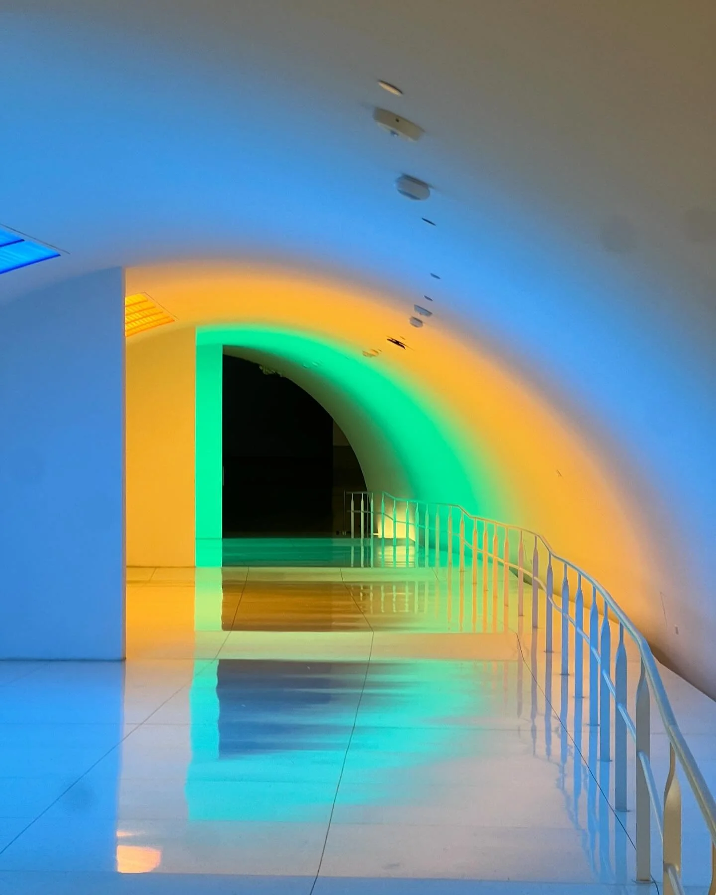 Chromosaturation es una instalaci&oacute;n inmersiva del artista venezolano Carlos Cruz-Diez, en el MFAH.

La pieza se centra en una exploraci&oacute;n del color como una experiencia f&iacute;sica y sensorial. 

Consiste en un espacio dividido en tre