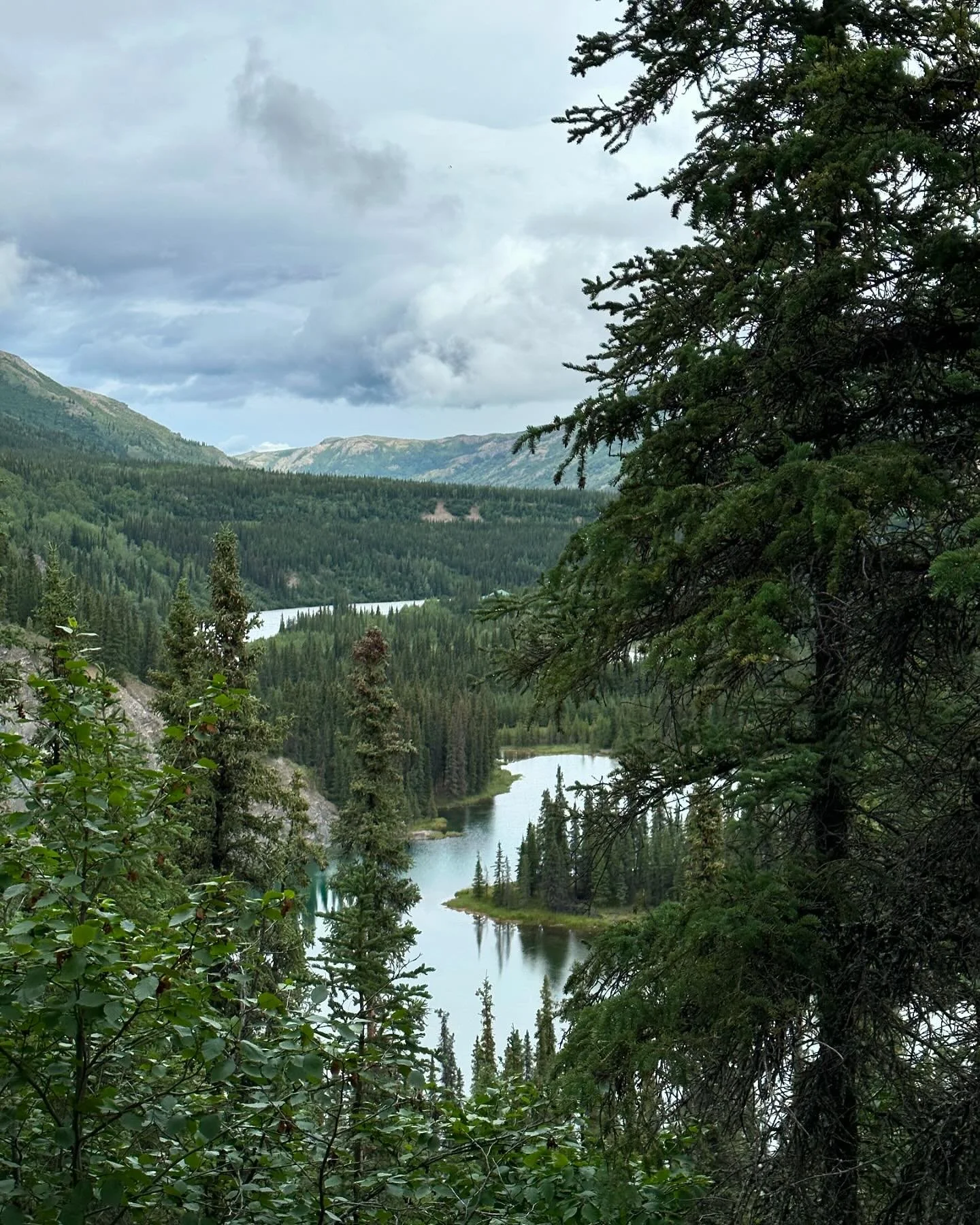 El Horseshoe Trail en el Parque Nacional Denali en Alaska, es un sendero corto(1 y 1/2 hrs) y f&aacute;cil en el que caminas por un lago, un r&iacute;o, una presa de castores, atraviesas las v&iacute;as del tren y tienes hermosas vistas. Fue mi favor