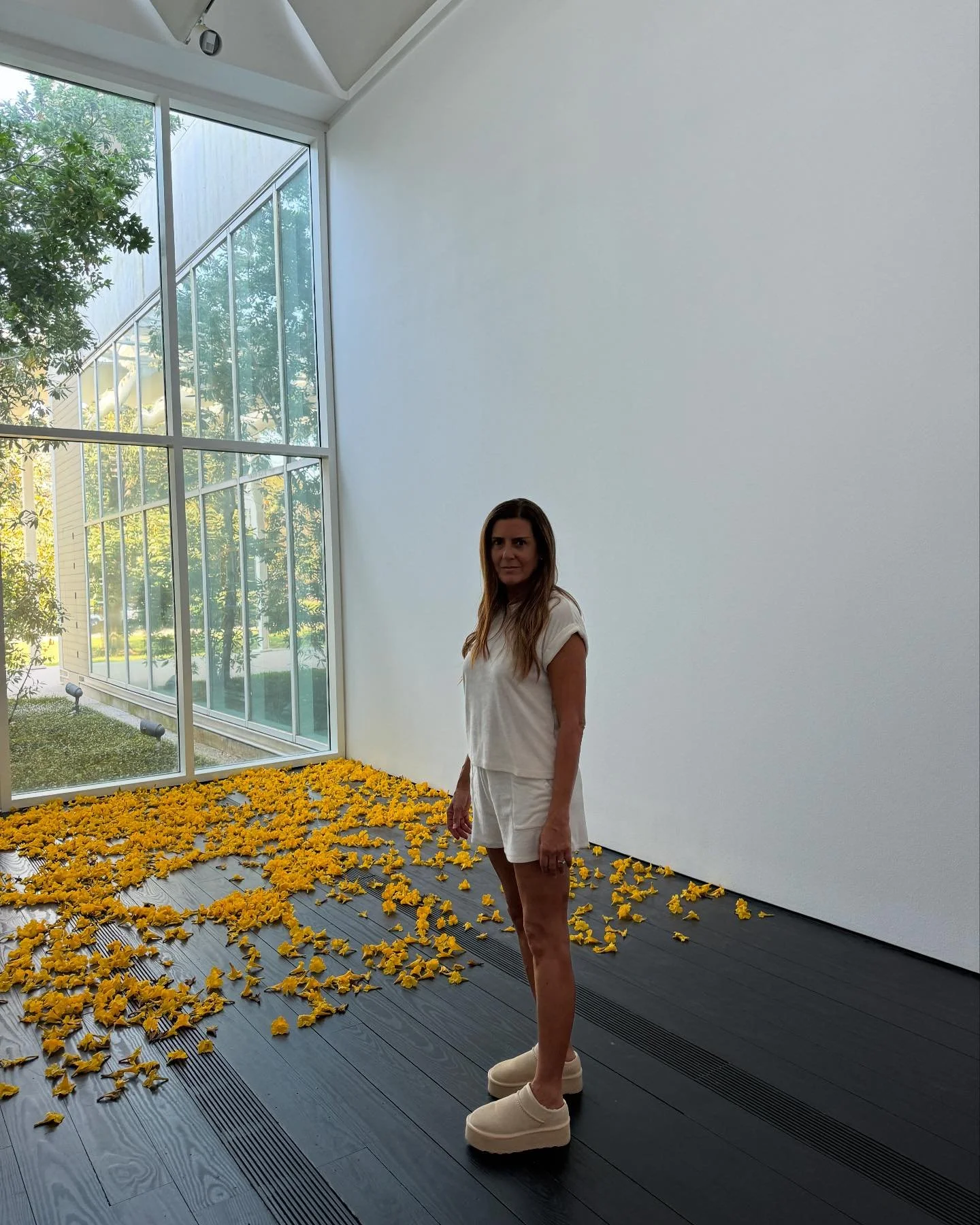 La instalaci&oacute;n Graft de Jennifer Allora y Guillermo Calzadilla, en el Menil Collection, consiste en la r&eacute;plica de 17,500 flores del &aacute;rbol caribe&ntilde;o, guayac&aacute;n, en 7 diferentes estados de descomposici&oacute;n.

Est&aa