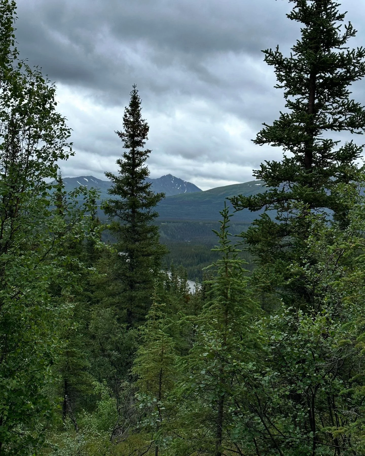 El Triple Lakes Trailhead es una de las caminatas m&aacute;s padres del Denali National Park en Alaska.

Tiene paisajes incre&iacute;bles que incluyen vistas del bosque, las monta&ntilde;as y los tres lagos.

La ruta completa tiene 24.5 km de ida y v