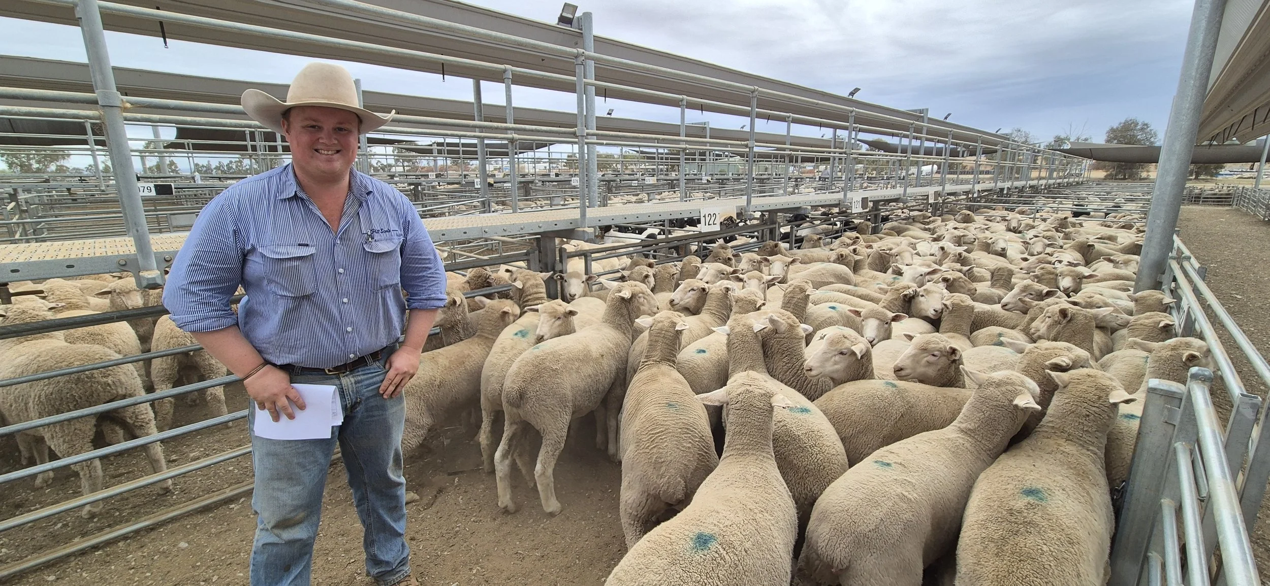 Ryan Taylor in pen of sheep.jpg