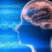Brainwaves