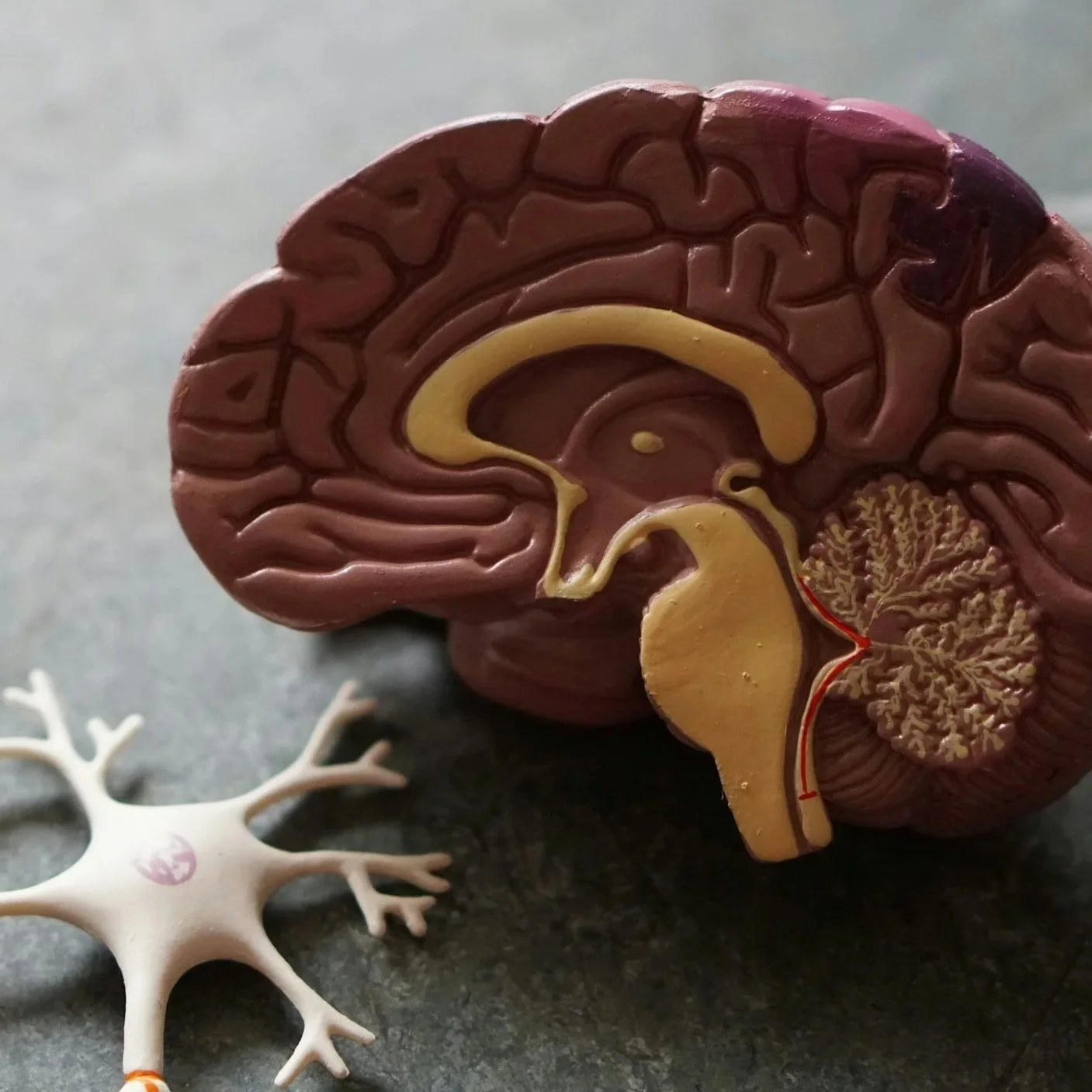 Glands &amp; Regions