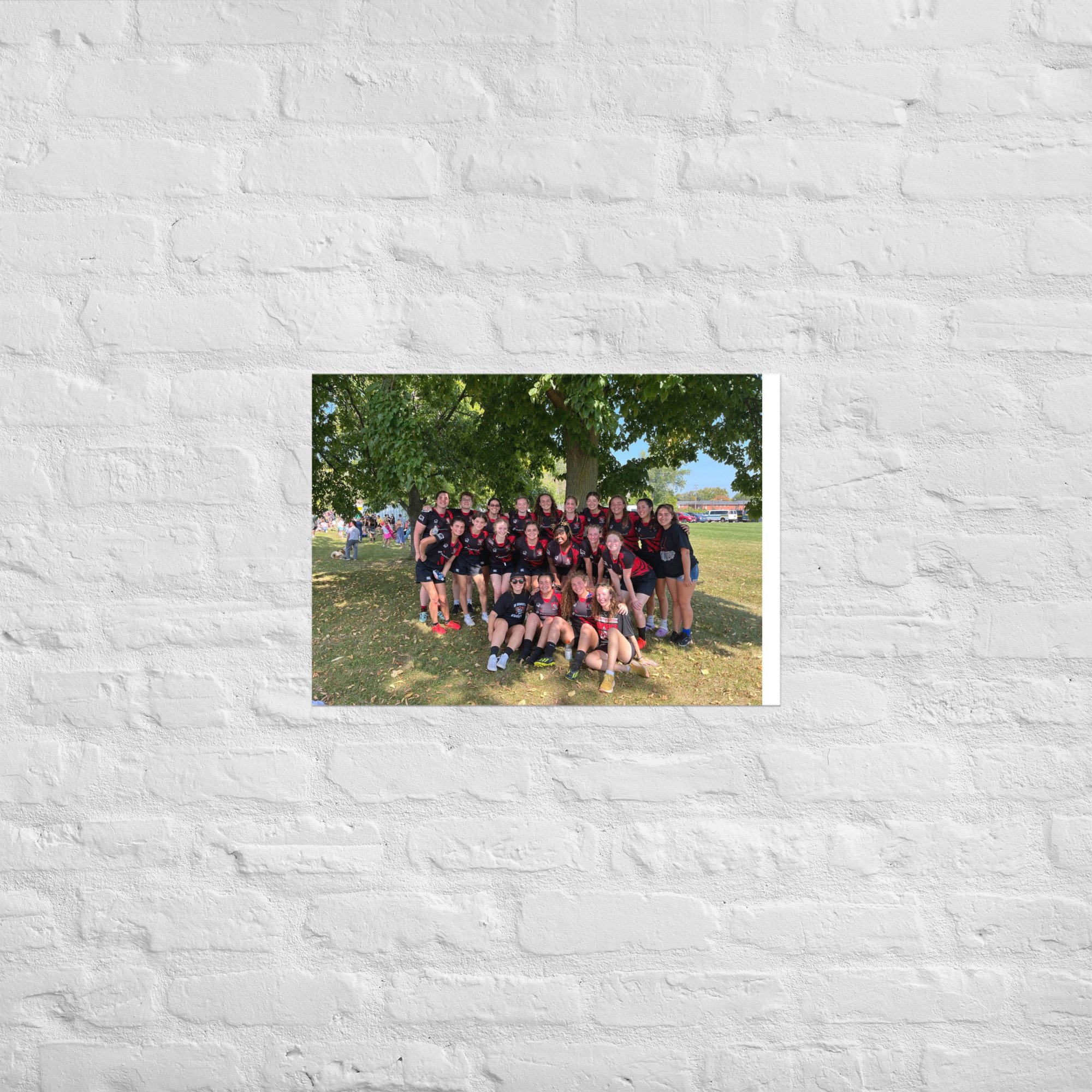 enhanced-matte-paper-poster-(in)-a2-(16.5x23.3)-front-6706cc7c198c8.jpg
