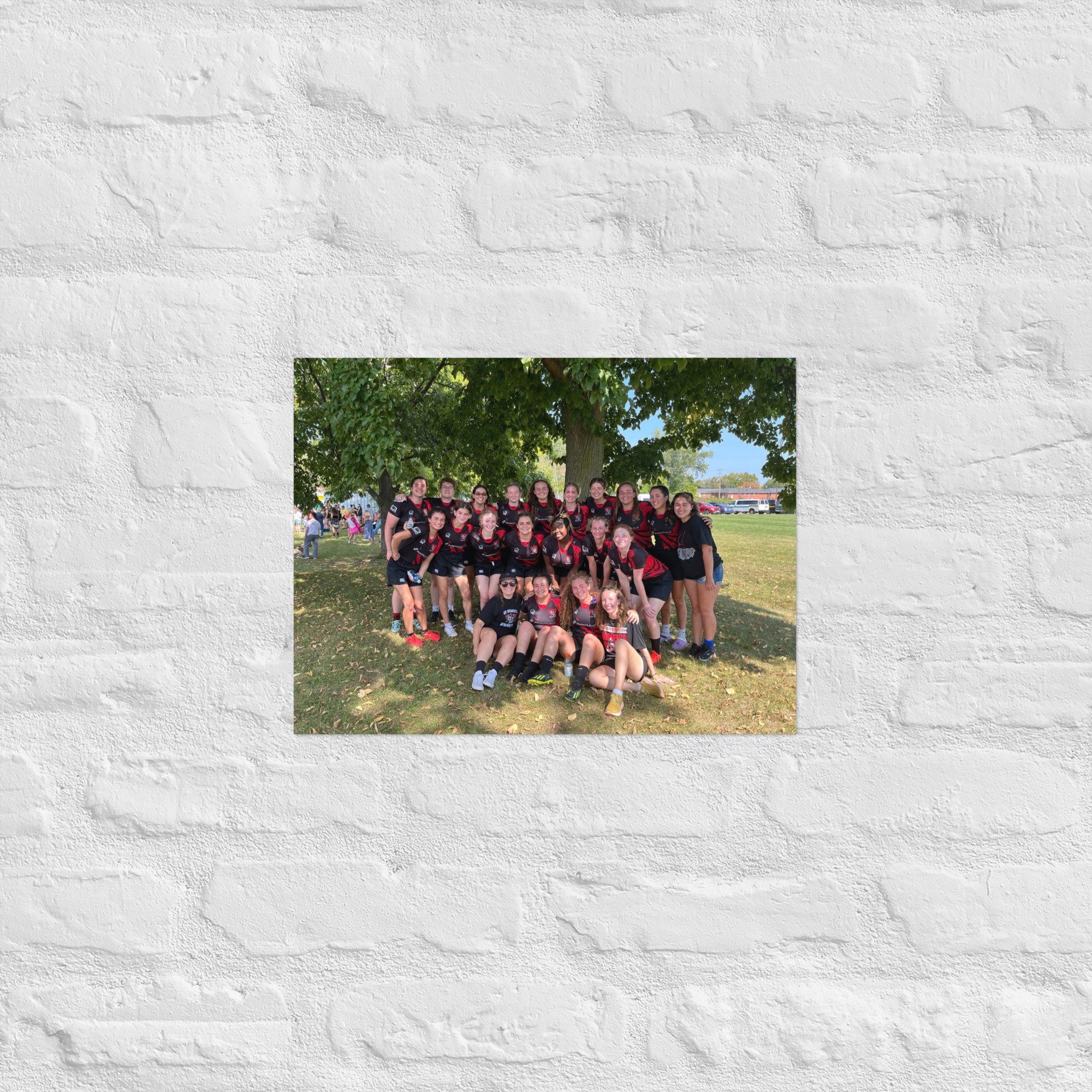 enhanced-matte-paper-poster-(in)-12x16-front-6706cc7c19d83.jpg