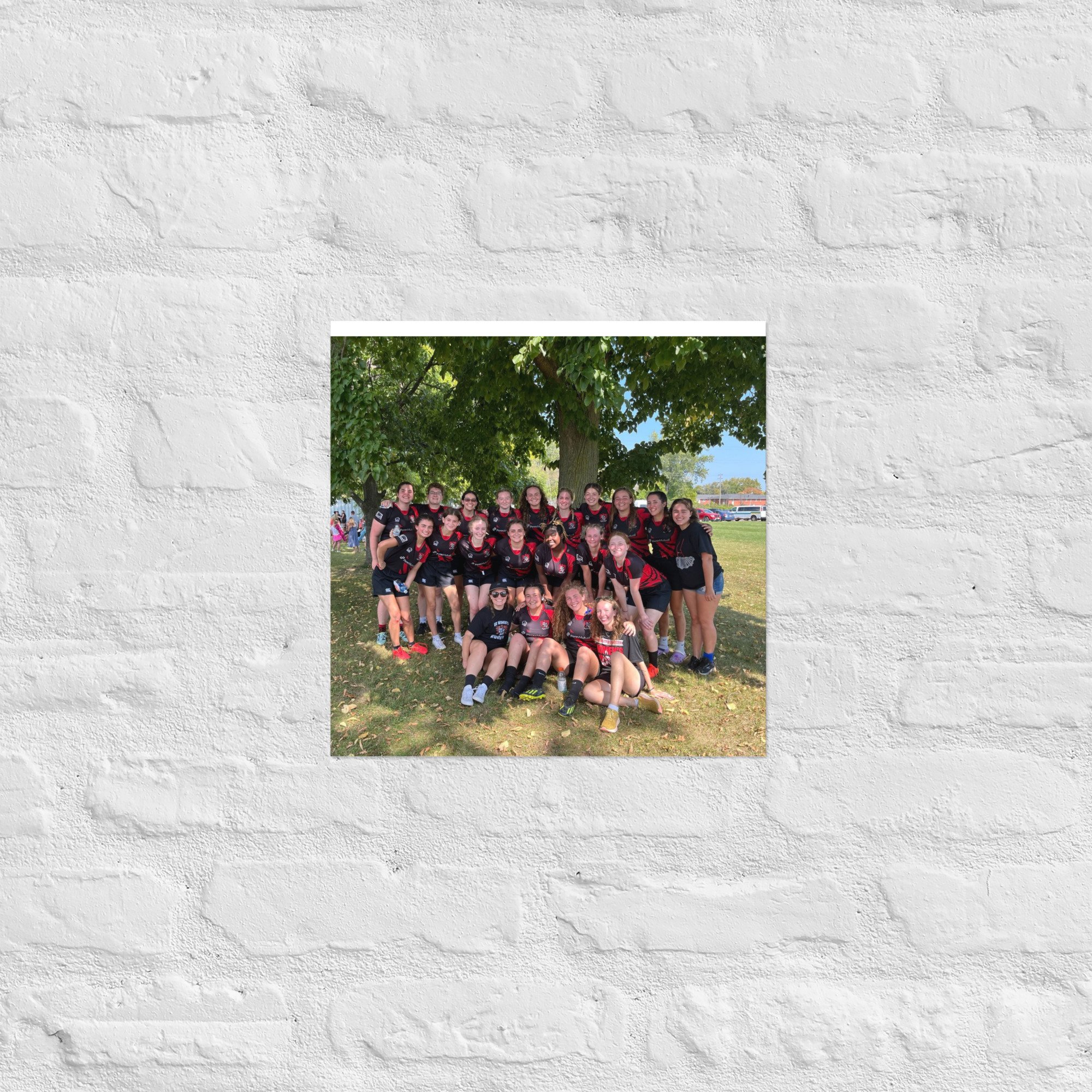 enhanced-matte-paper-poster-(in)-14x14-front-6706cc7c1a025.jpg