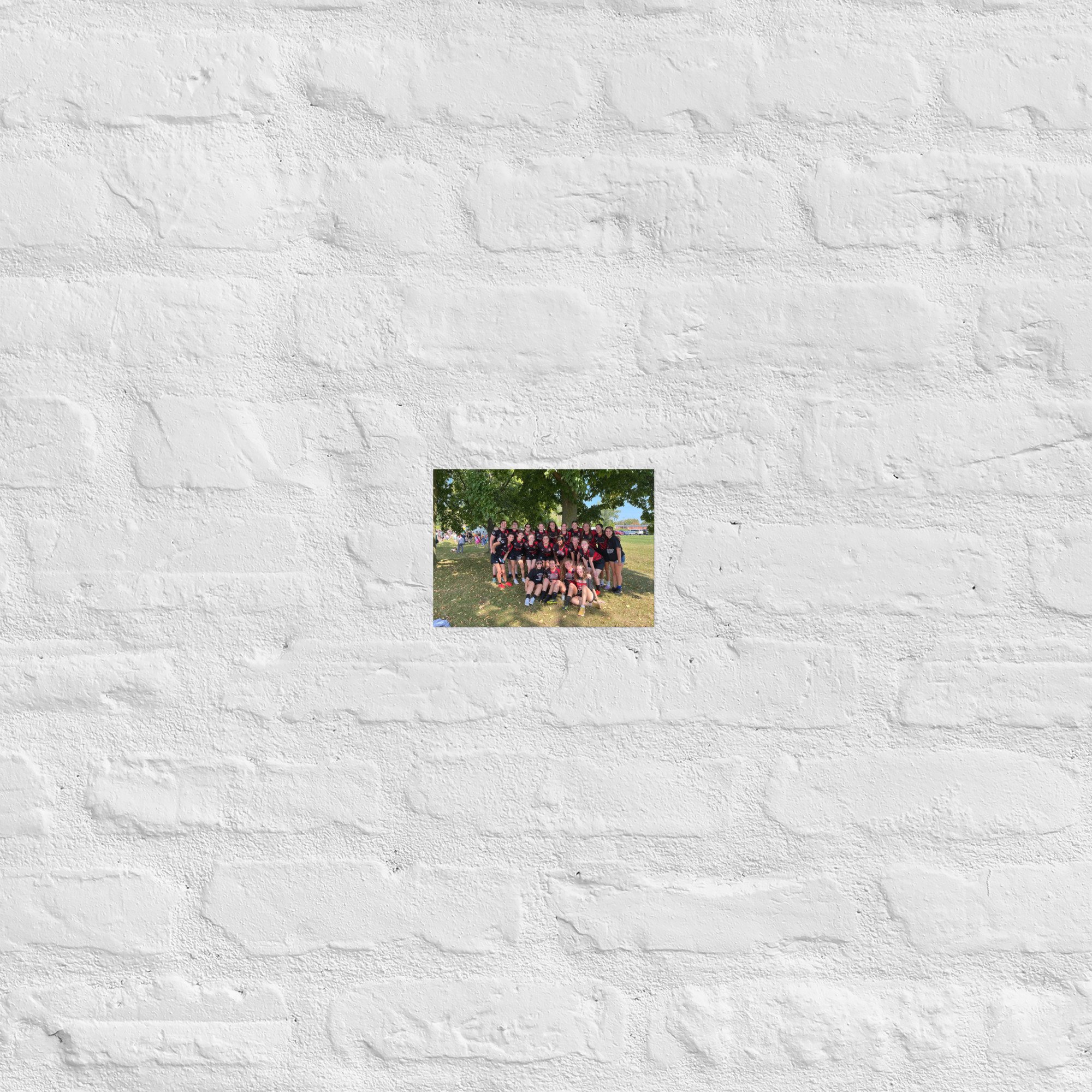 enhanced-matte-paper-poster-(in)-5x7-front-6706cc7c1a872.jpg