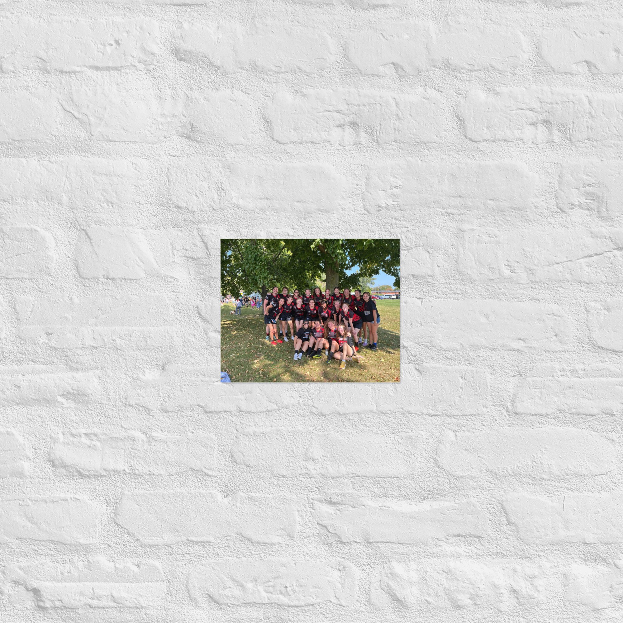 enhanced-matte-paper-poster-(in)-8x10-front-6706cc7c1a9d0.jpg