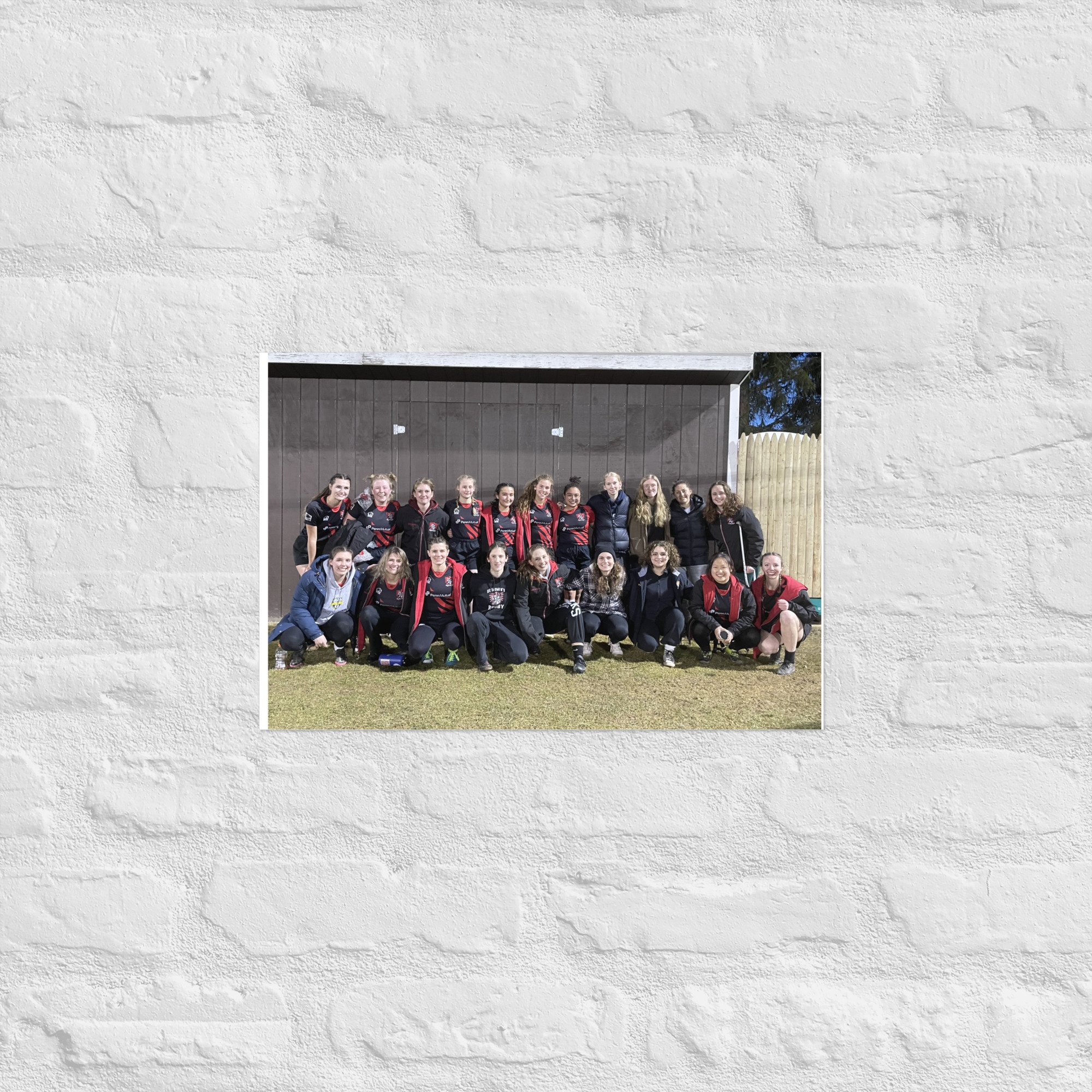enhanced-matte-paper-poster-(in)-12x18-front-670f2b1e0da26.jpg