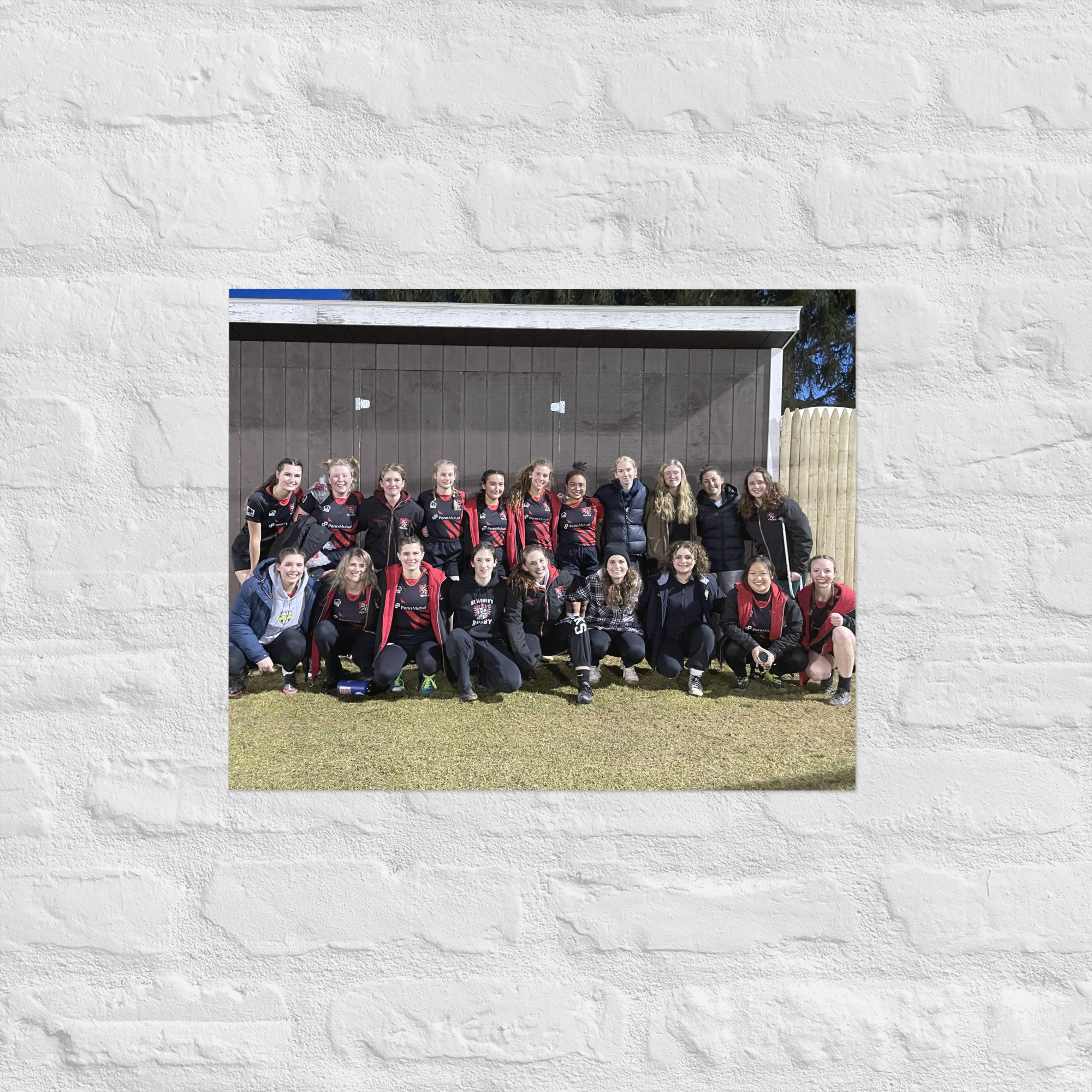 enhanced-matte-paper-poster-(in)-16x20-front-670f2b1e0dd8b.jpg