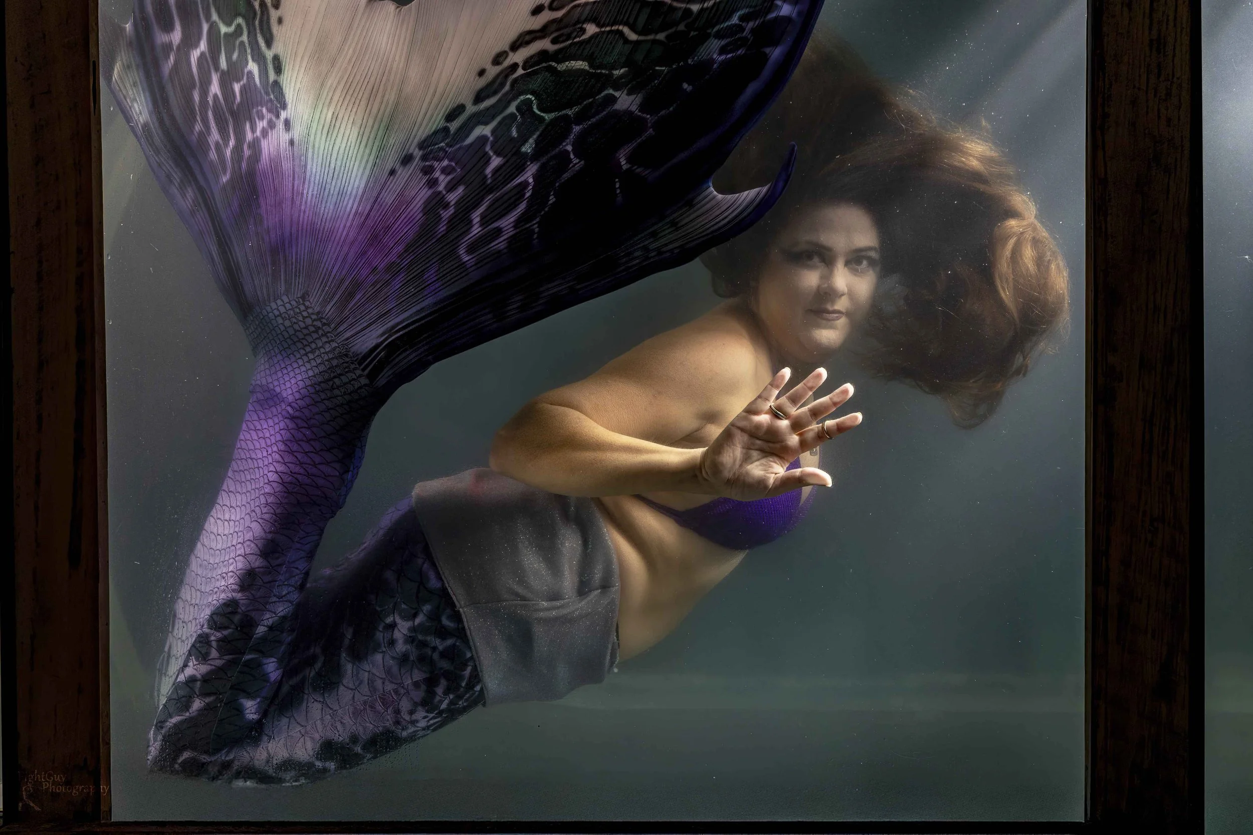 Contact Heather De Stefano, Human Fish Relations