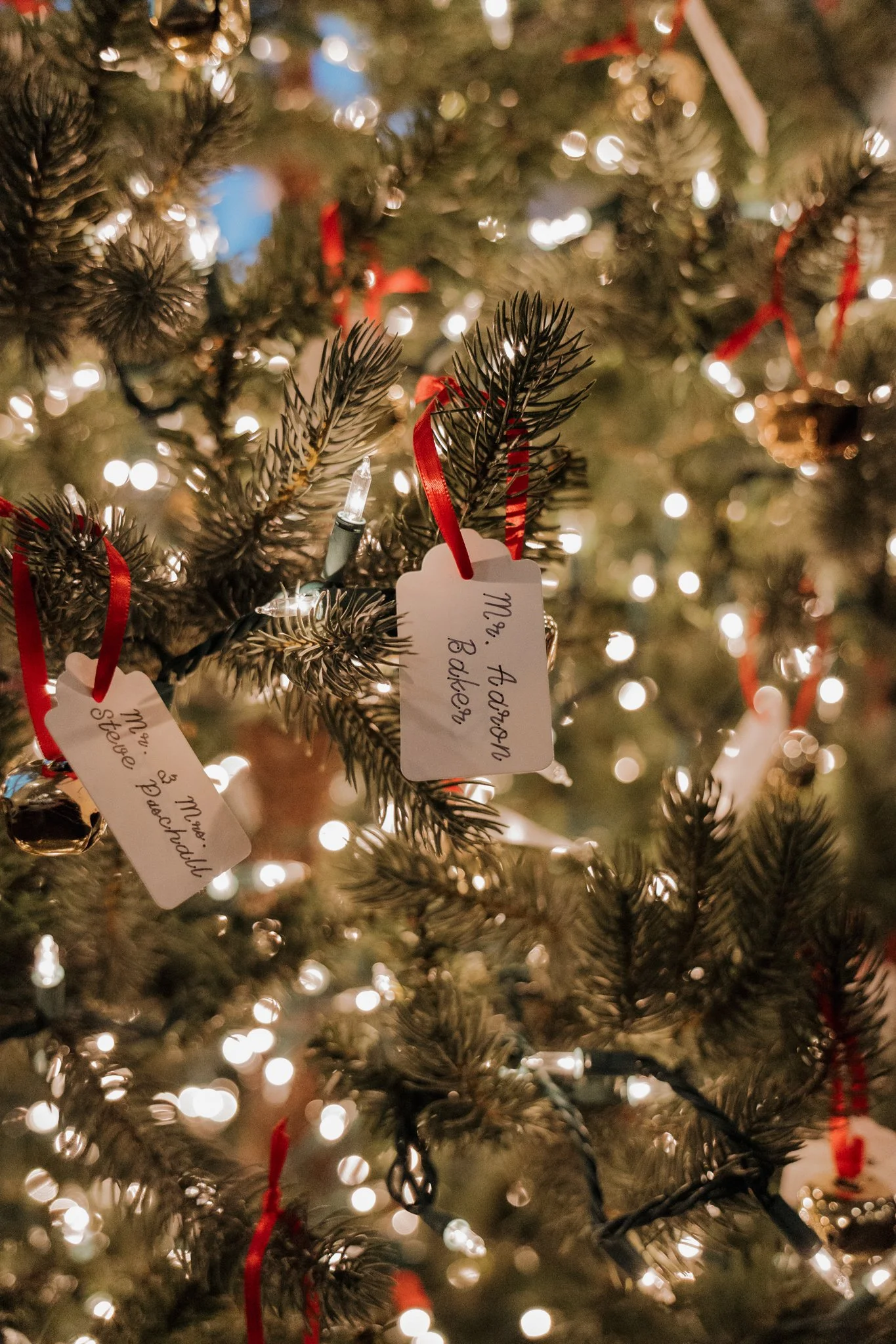 Mark + Emma Wedding-2025.jpg