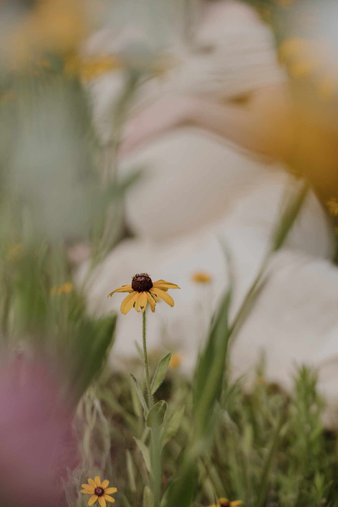 Milli Maternity Session-057.jpg