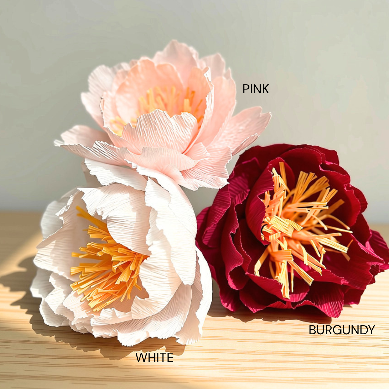 Peony Colur Options.png