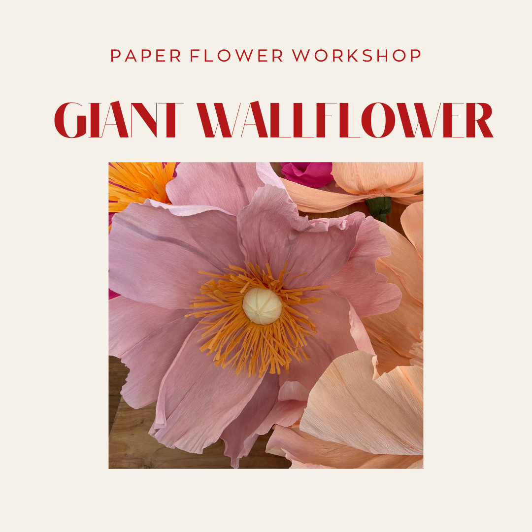 Giant Wall Flower.png