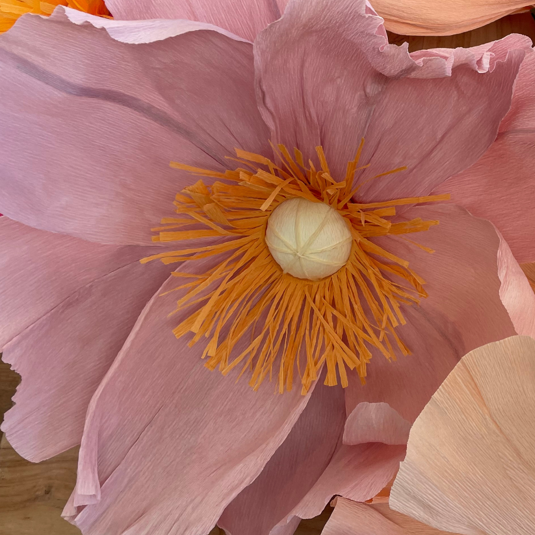 Pink Flower.png