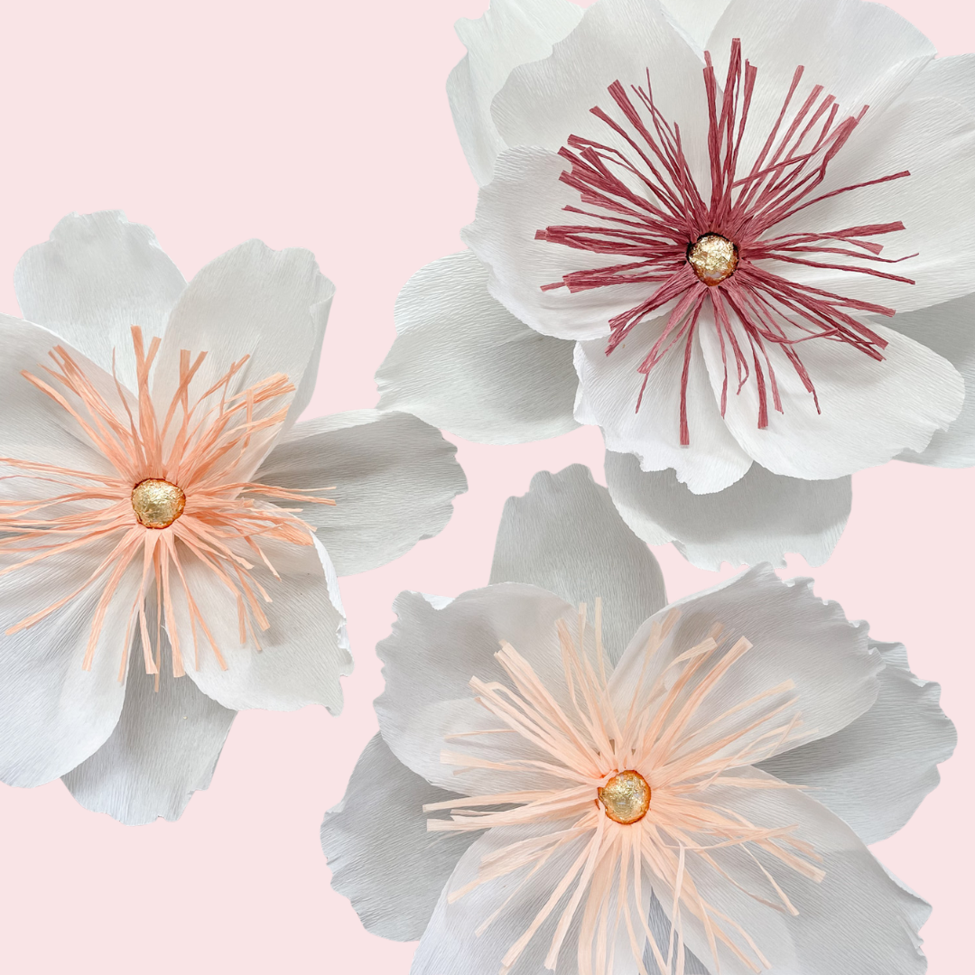 DIY KIT for website (8).png