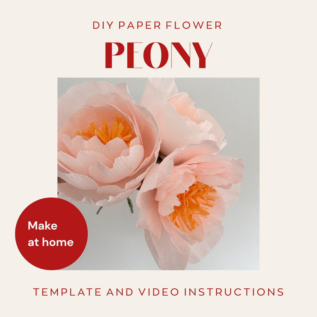 Paper Peony Template and instructions   (1).png