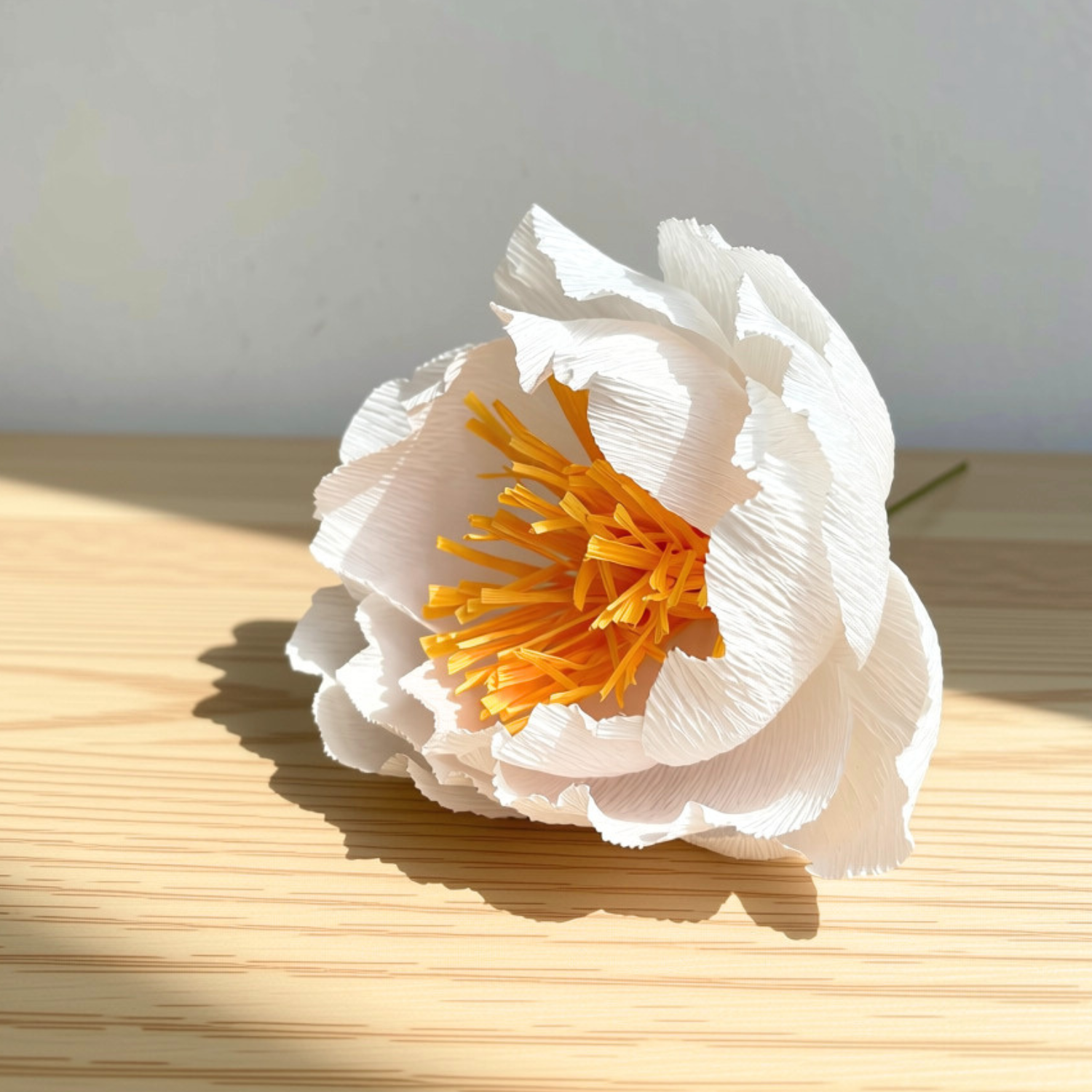 White peony.png