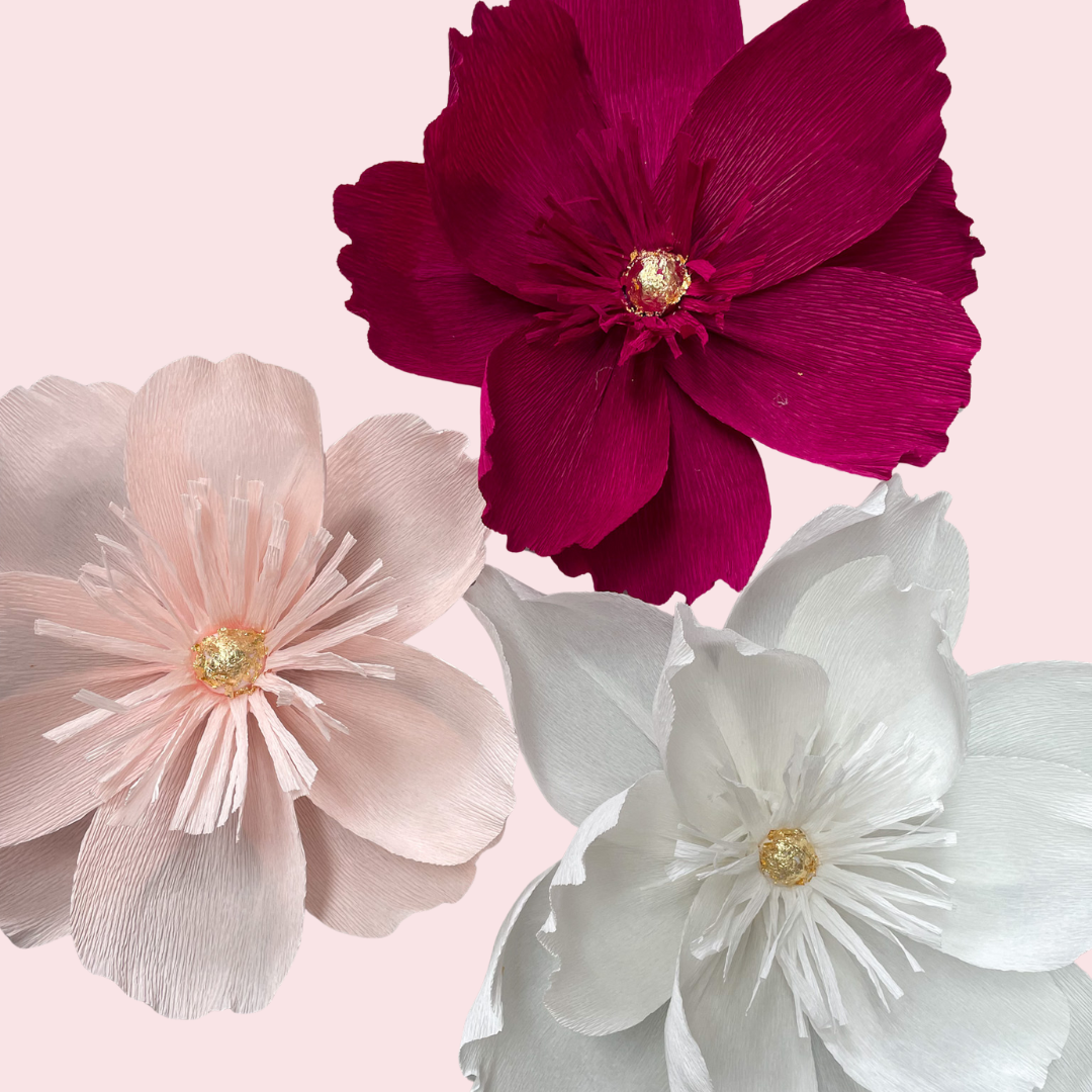 DIY KIT for website (3).png