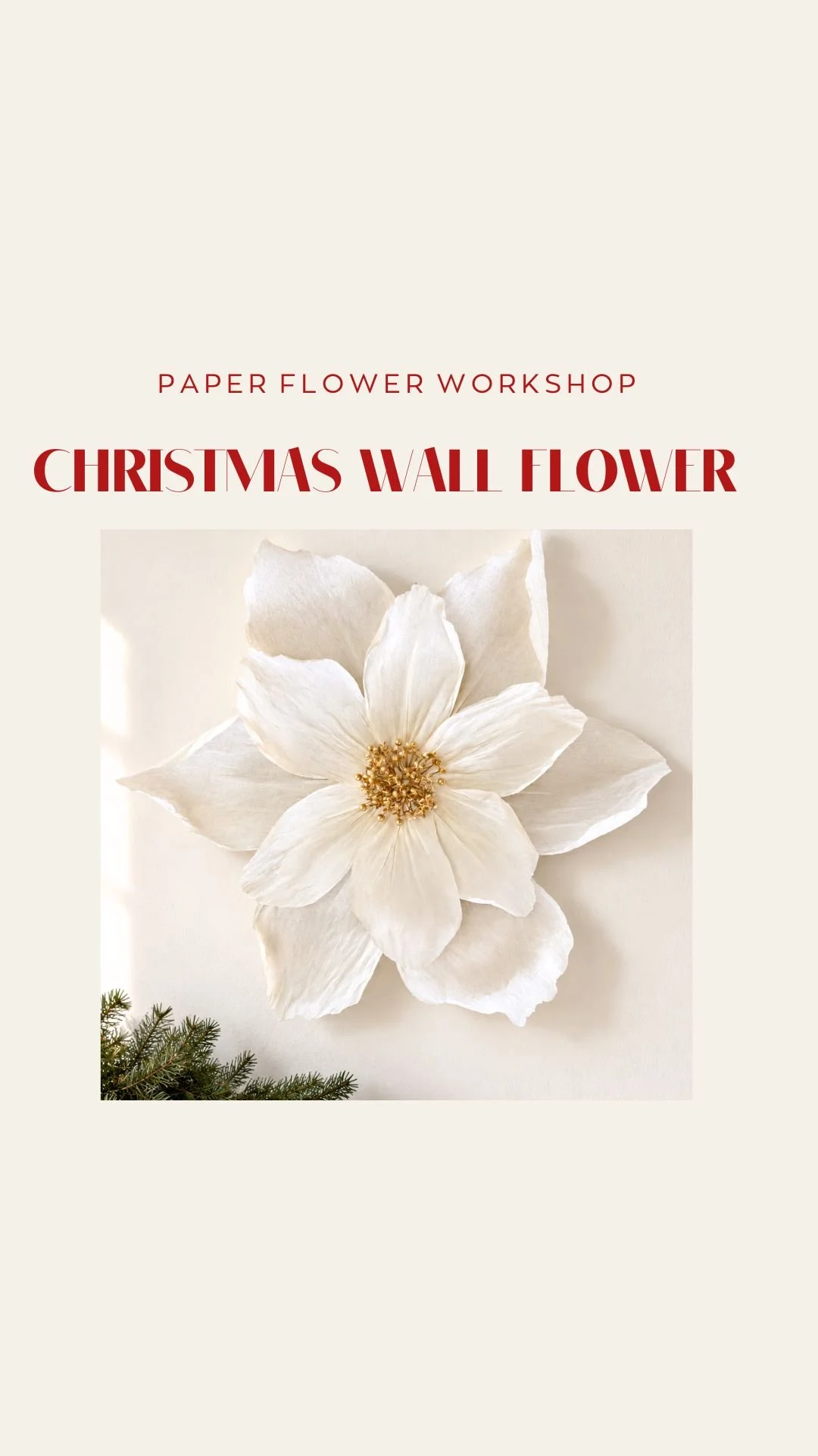 Giant Christmas Star Flower Workshop | 21 Nov | 2.30 - 4.30