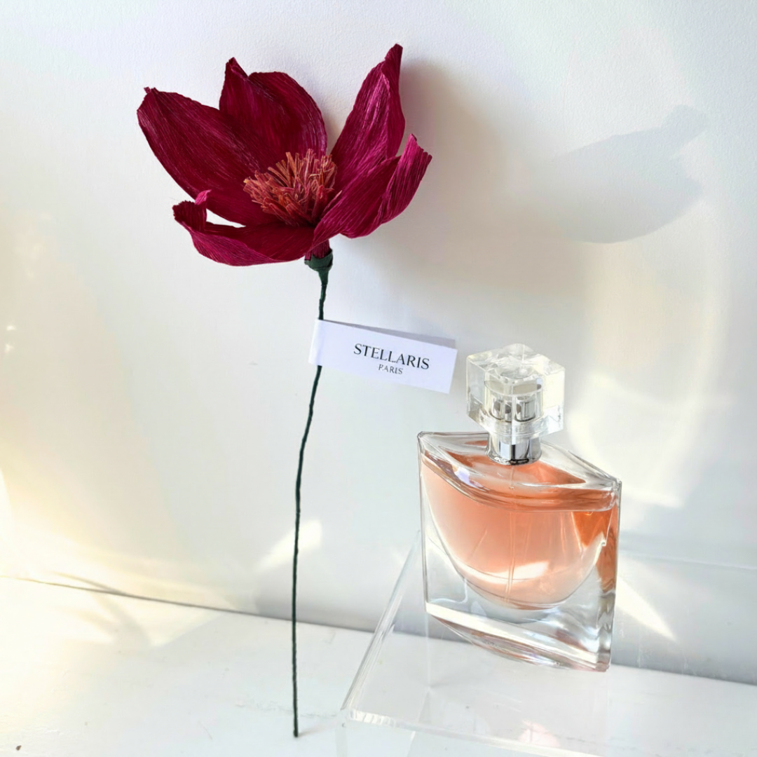 Pink flower with a tag labeled 'Stellaris Paris' and a glass perfume bottle with pink liquid.