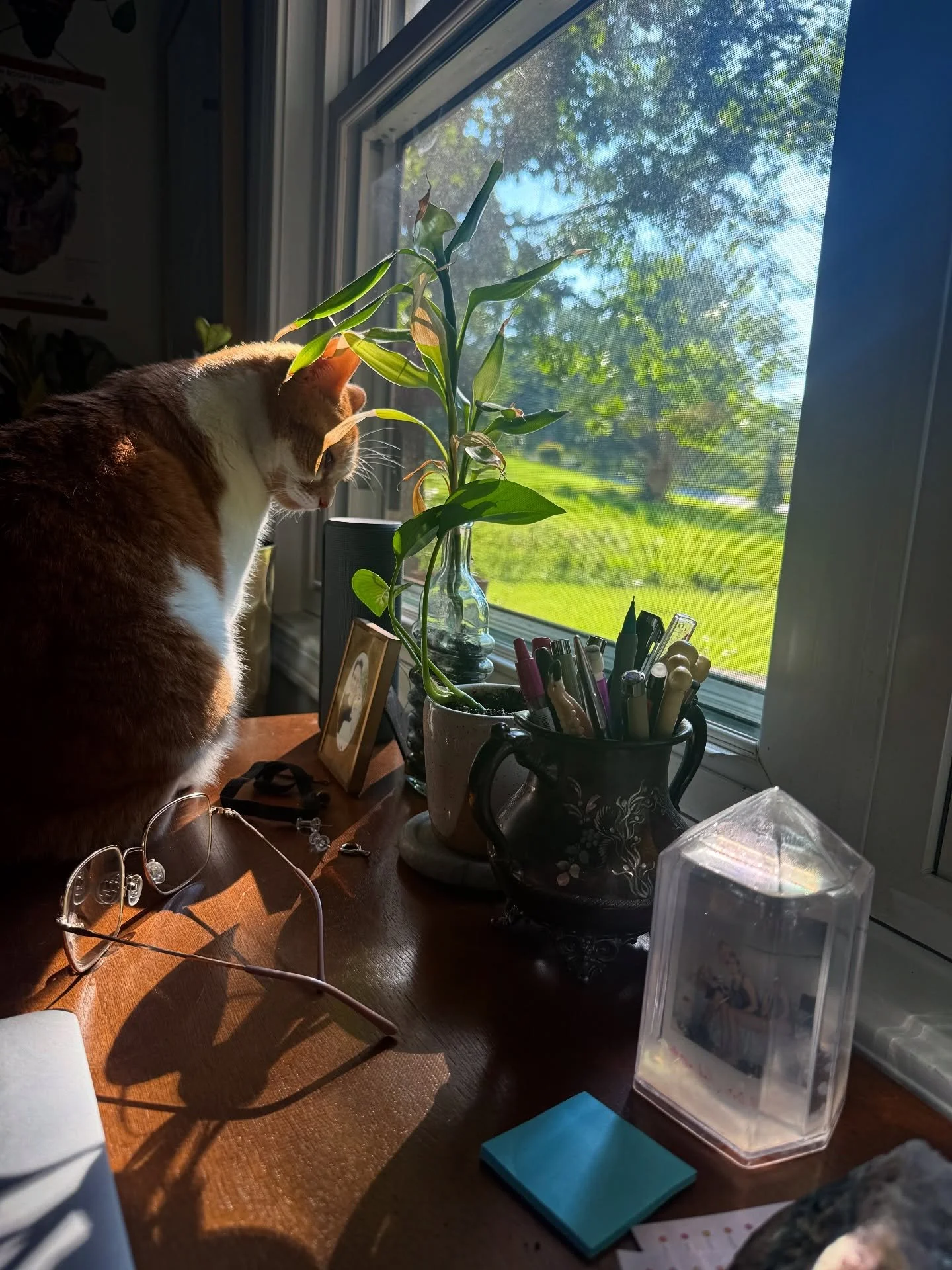 Good Morning from the Dopamine Decor Co Office☀️