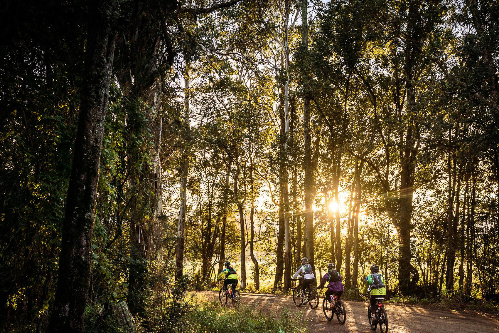 sunsets-mtb.jpg