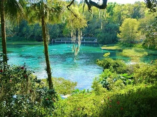 Rainbow Springs