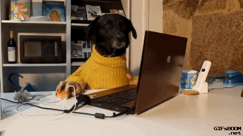 How to $pend that WFH stipend