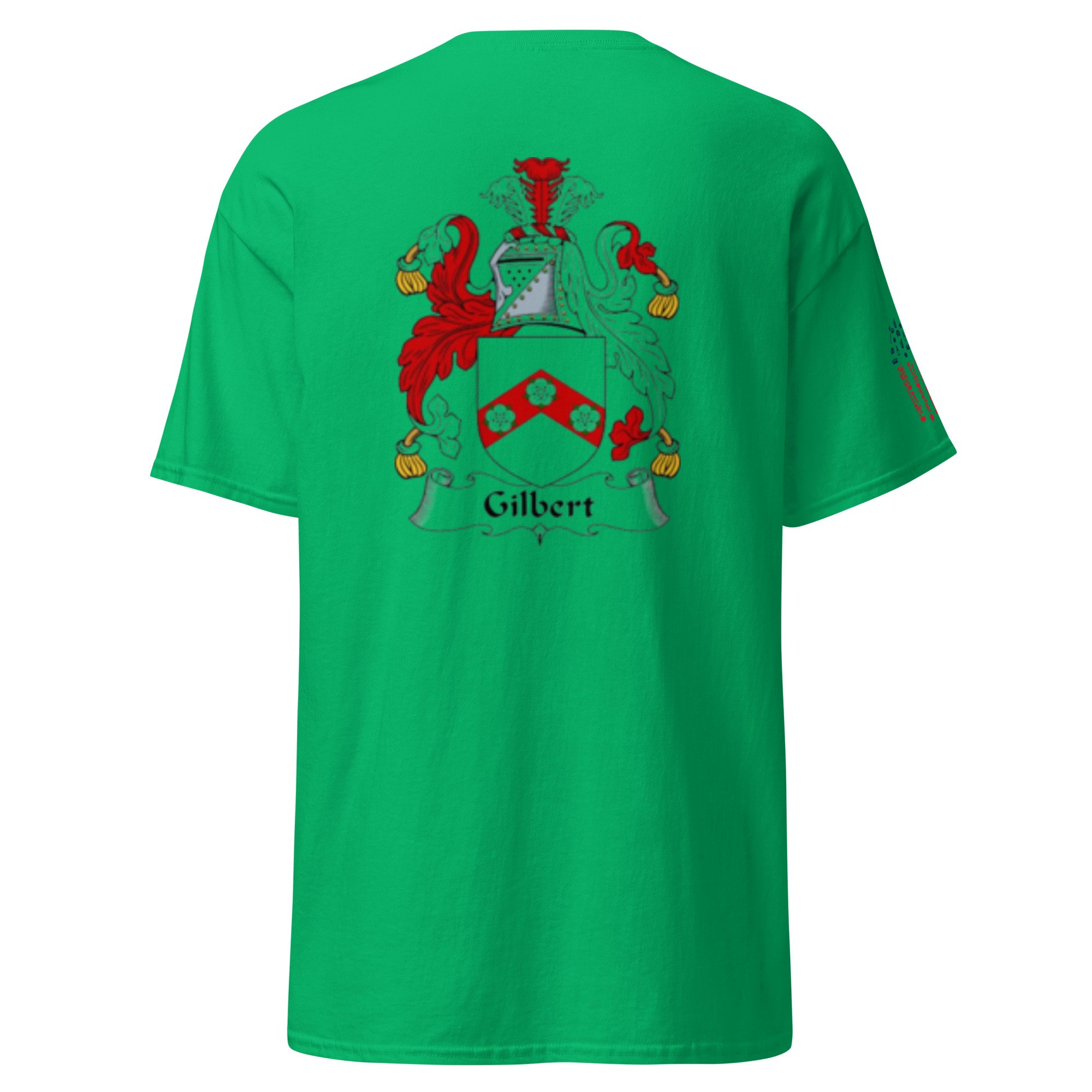 unisex-classic-tee-irish-green-back-66d0d2a4bcfce.jpg