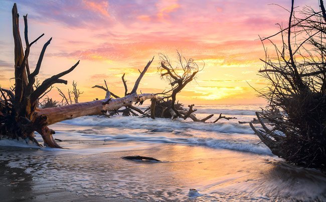 Hike at Botany Bay