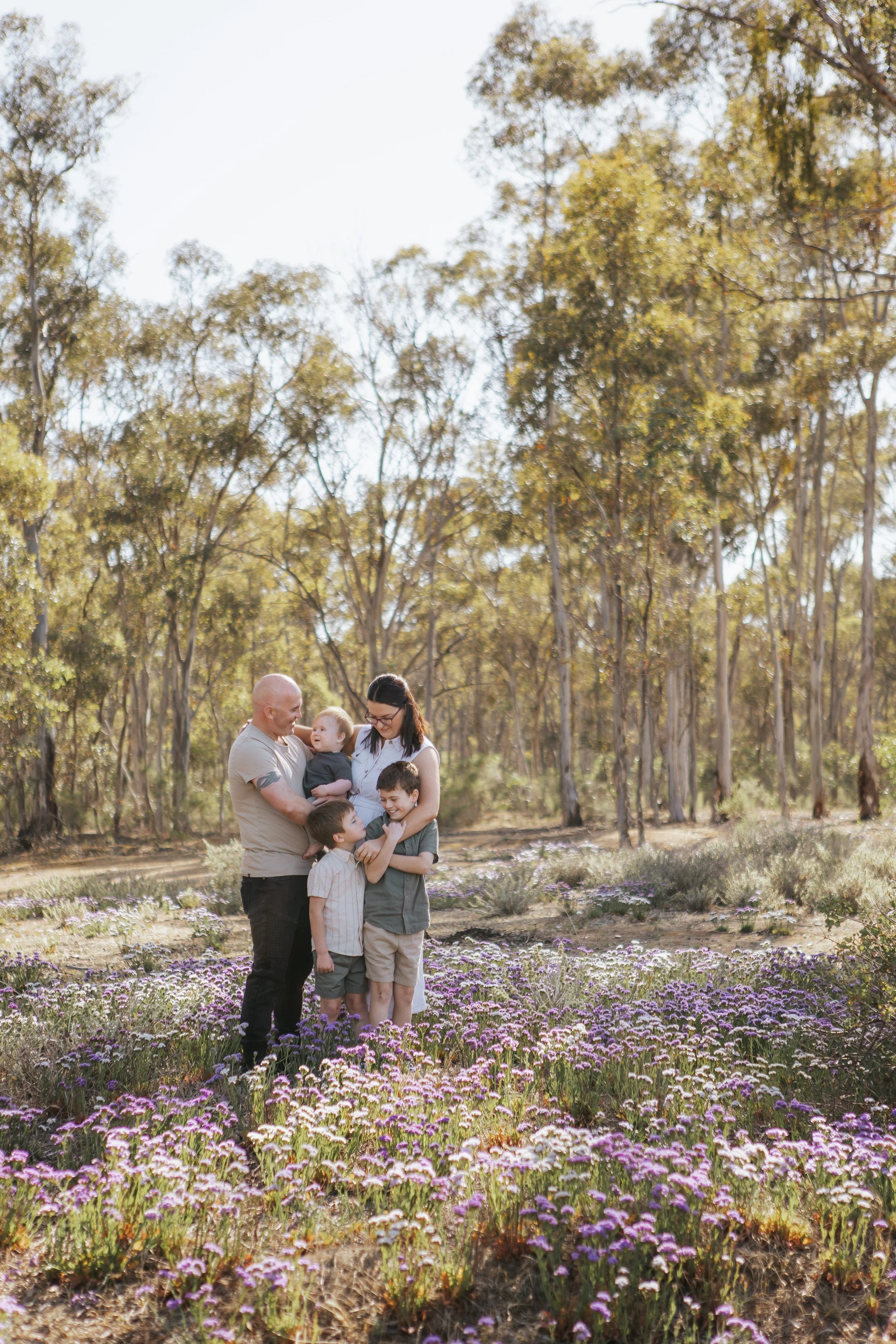 The Purple Fields of Flowers