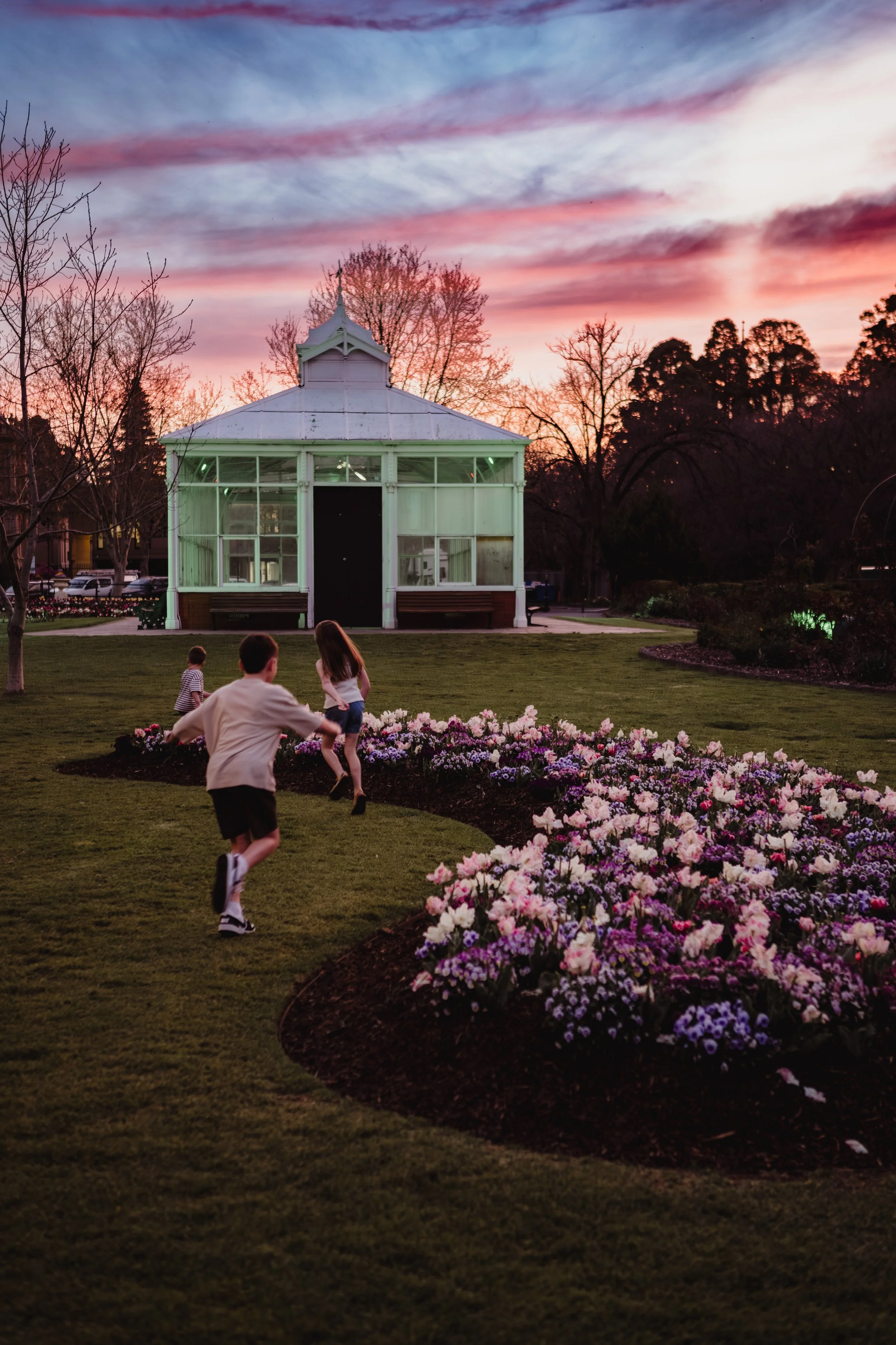 COGB Bloom after dark-24.jpg