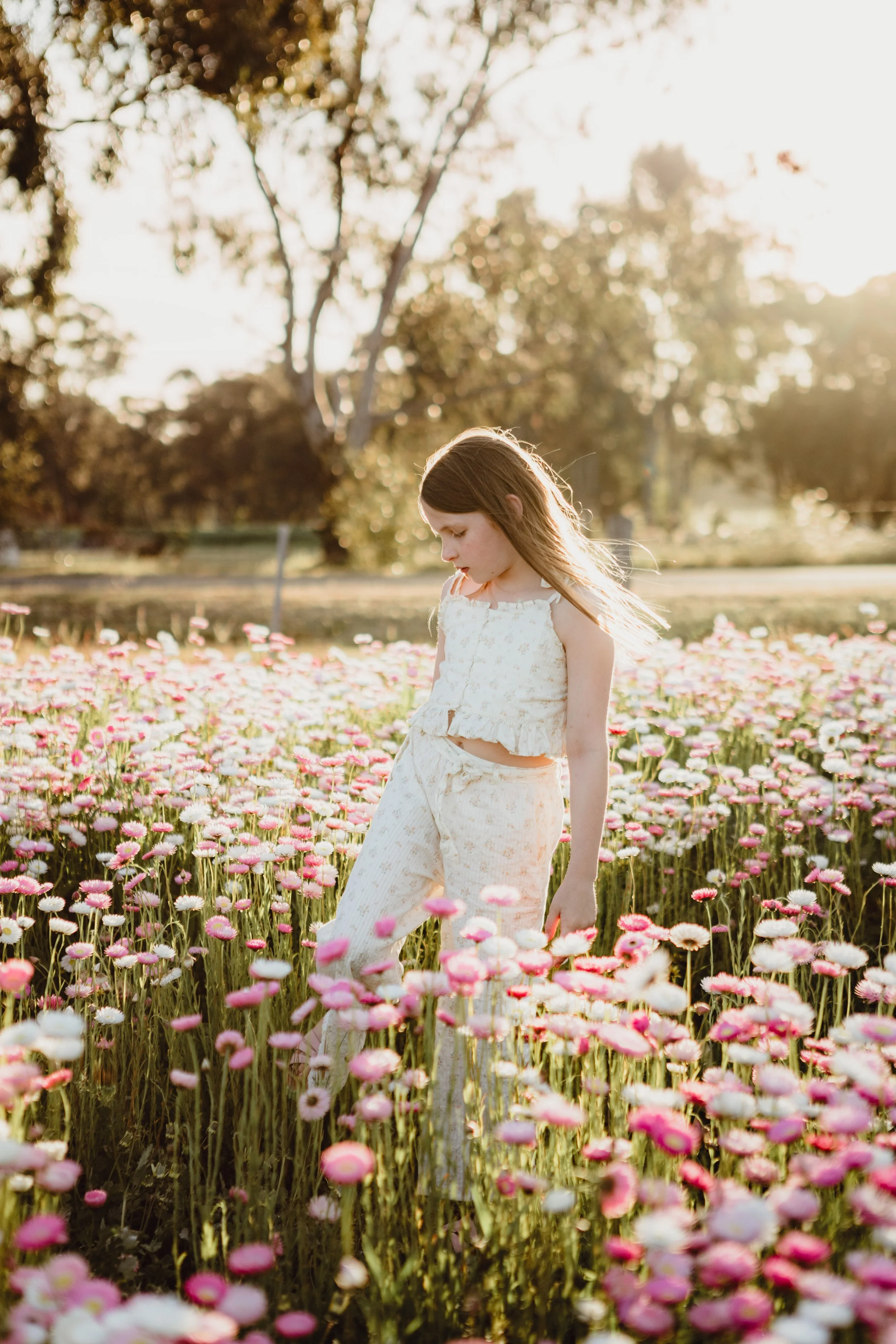 paper daises-4.jpg