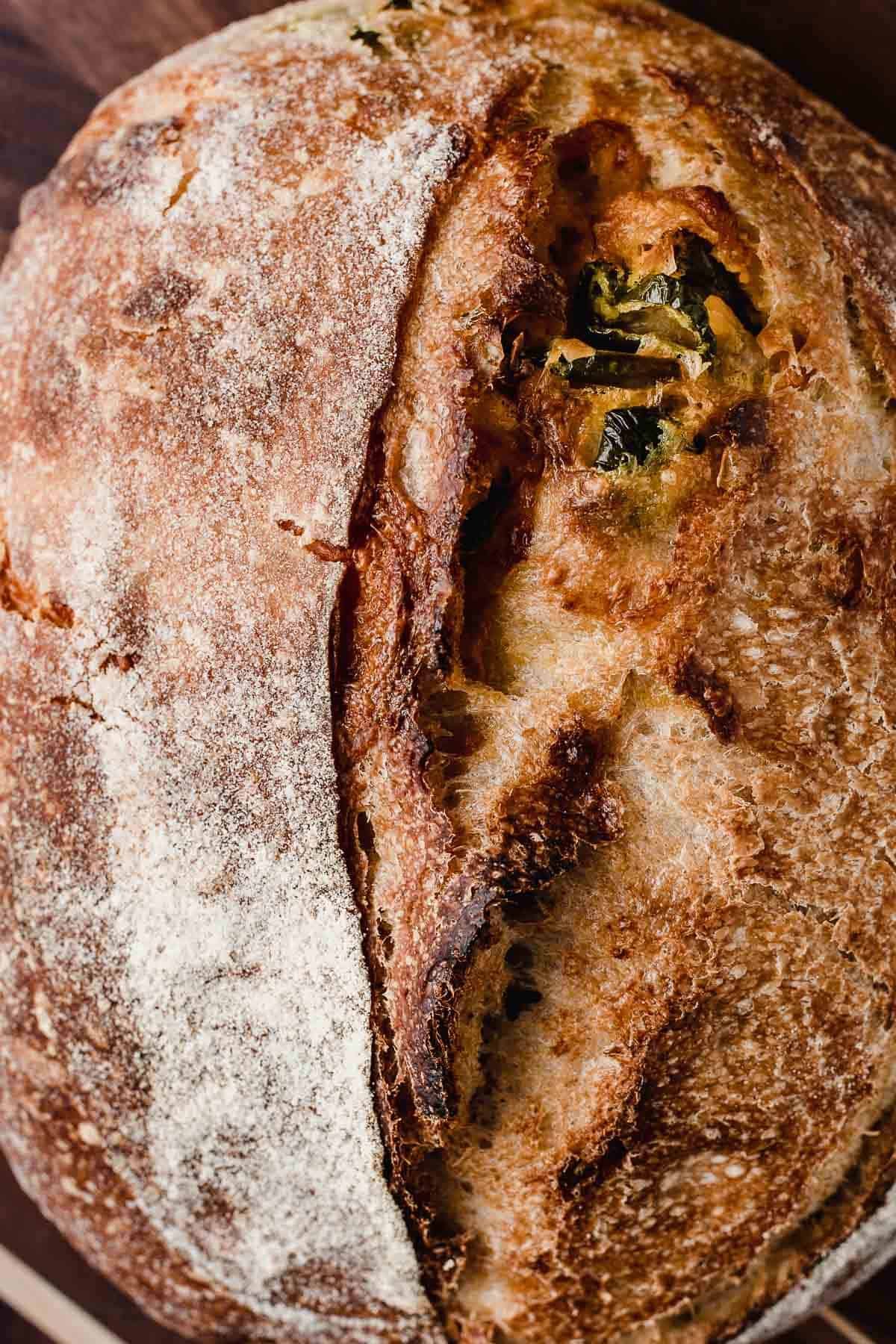 Jalapeño Cheddar Sourdough