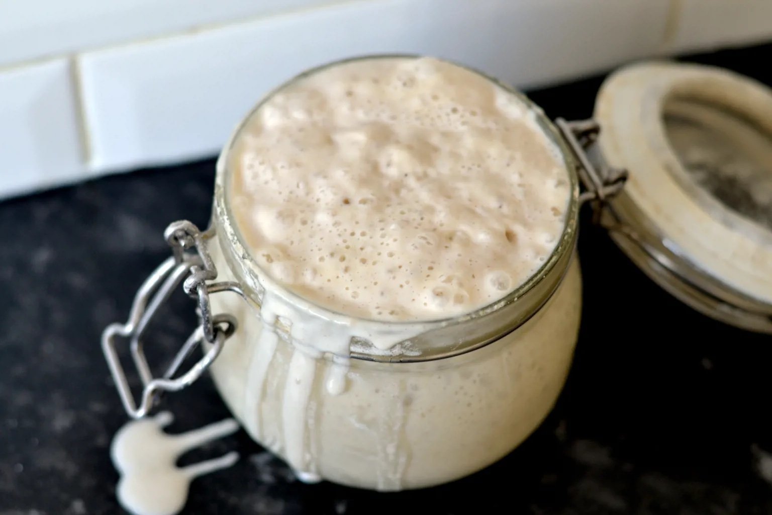Sourdough Starter