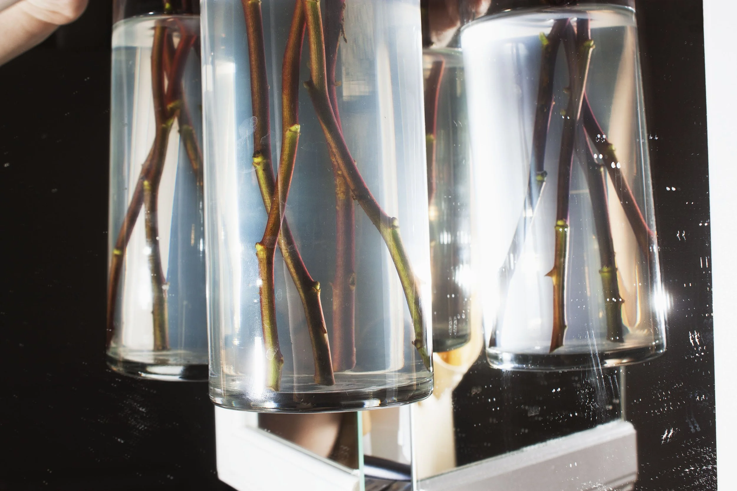 _MG_9371 copy 2.jpeg