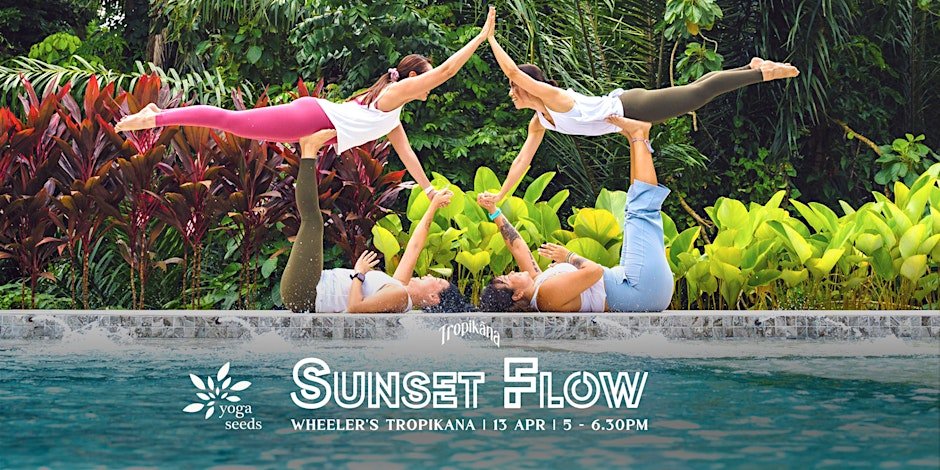 Yoga Seeds x Wheeler's Tropikana: Sunset Flow