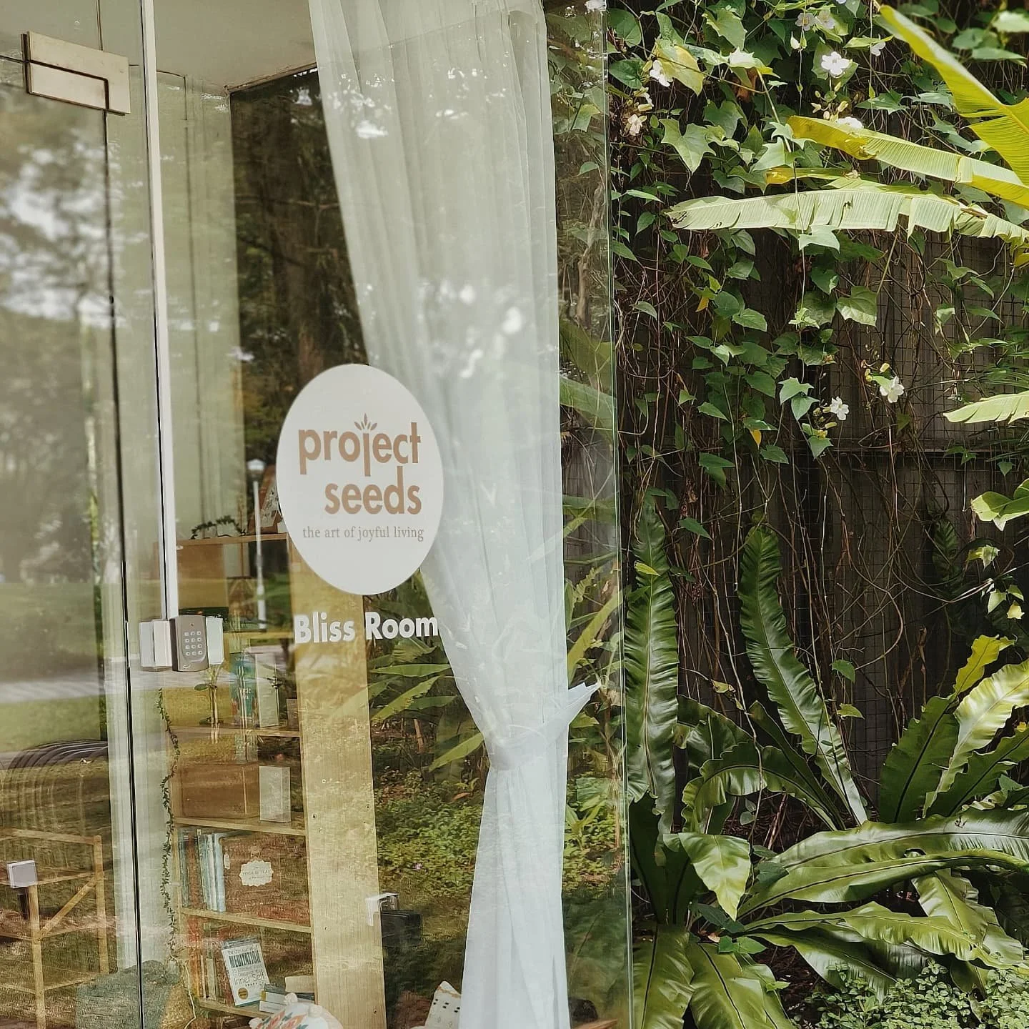 Step into a sanctuary where nature meets inspiration.

At Project Seeds, our spaces are more than venues&mdash;they are invitations to connect, reflect, and create something meaningful. Nestled within the lush greenery of @aramsaspas, tranquil rooms 