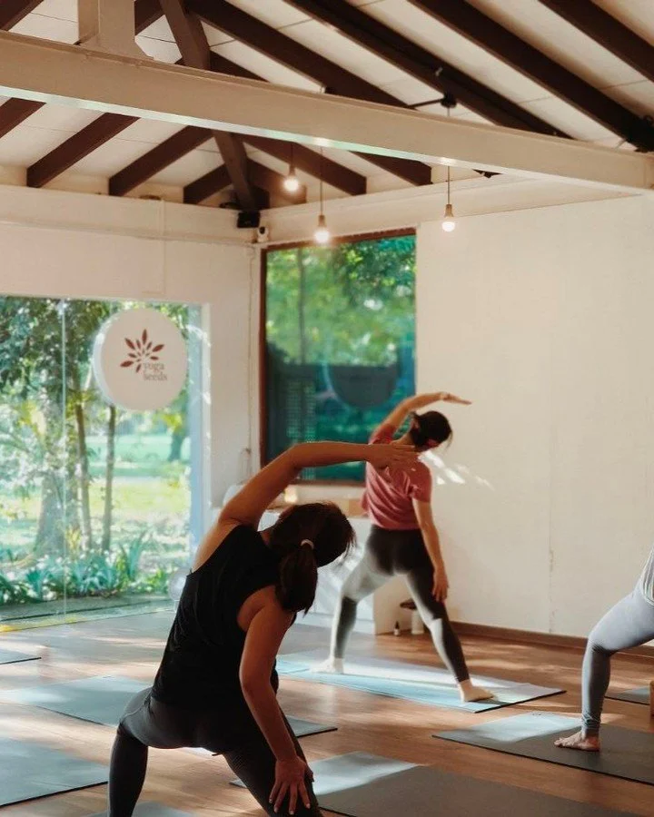 Less than two weeks remaining to get your members' festive special promo this month: 20 classes for $500 🎁 

That's just $25 per class, for a class pack that's valid for 6 months! To top it off, as a present to you, we're throwing in a complimentary