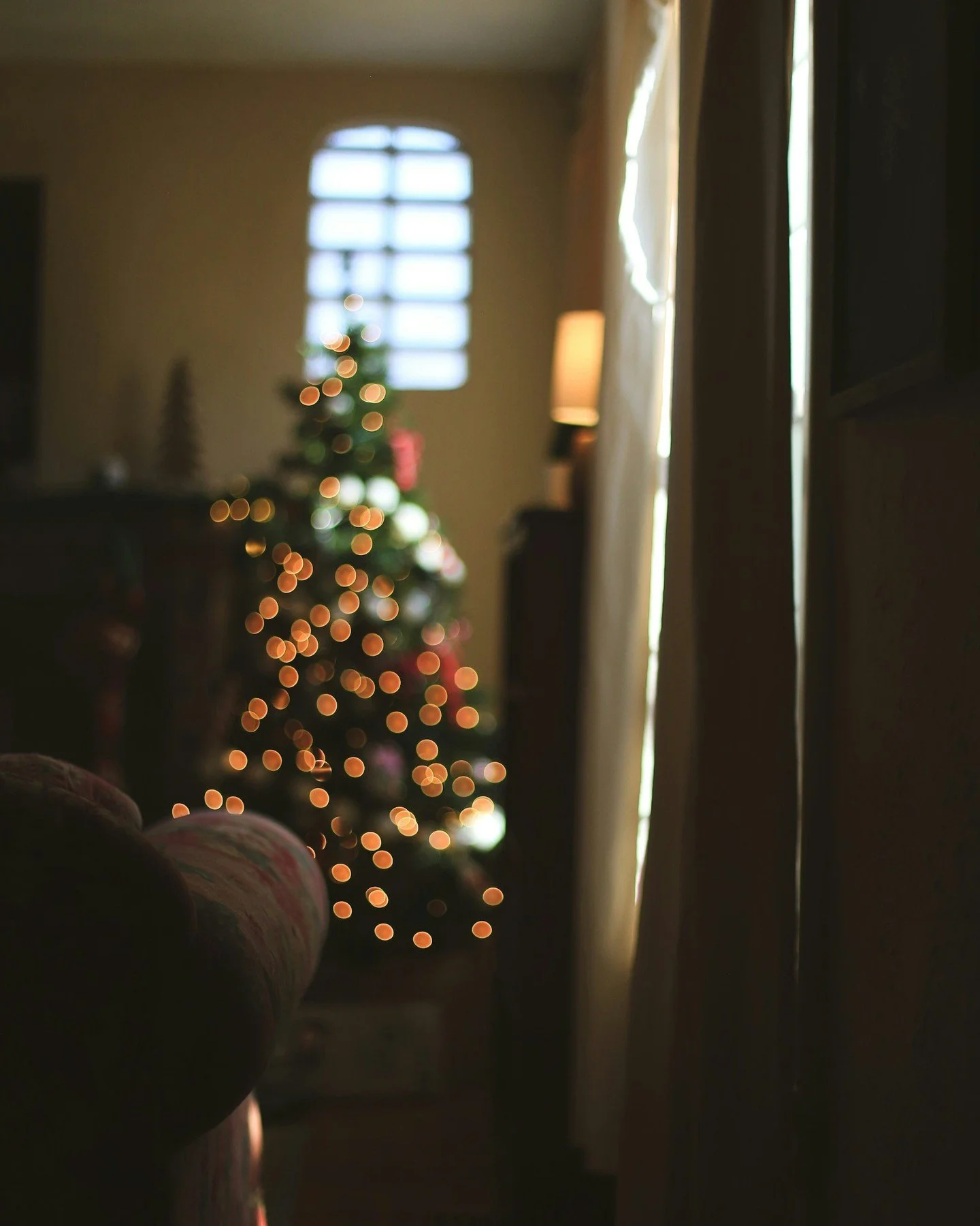 Wishing our entire Yoga Seeds family a peaceful and heartfelt Christmas. May this season bring you quiet moments to breathe deeply, connect inward, and appreciate all the light in your life.

We thank you for showing up on your mat, for each other, a