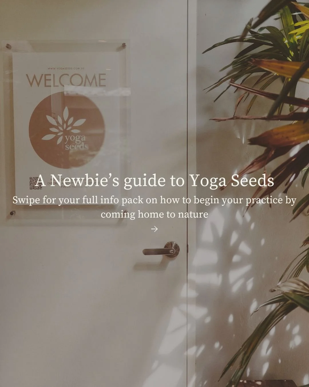 The Ultimate Newbie Guide to Yoga Seeds is here ✨

If you're staying in the areas of Ang Mo Kio, Bishan, Thomson and Serangoon - did you know there's a beautiful yoga shala in the middle of nature just a stone's throw away from where you are? Your we