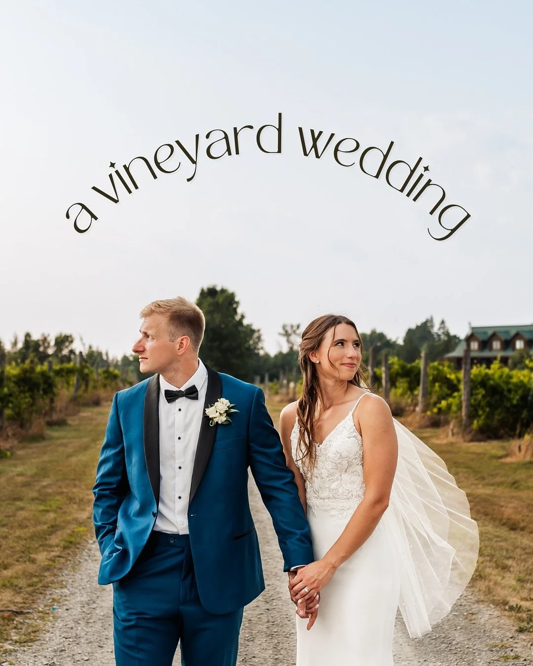 A dreamy summer vineyard wedding at Jabulani Vineyard ☀️

Golden vines, warm breezes, and a sunset glow made this day unforgettable. 🍇💍 From their first look among the grapes to romantic portraits at golden hour, every moment felt like pure magic.
