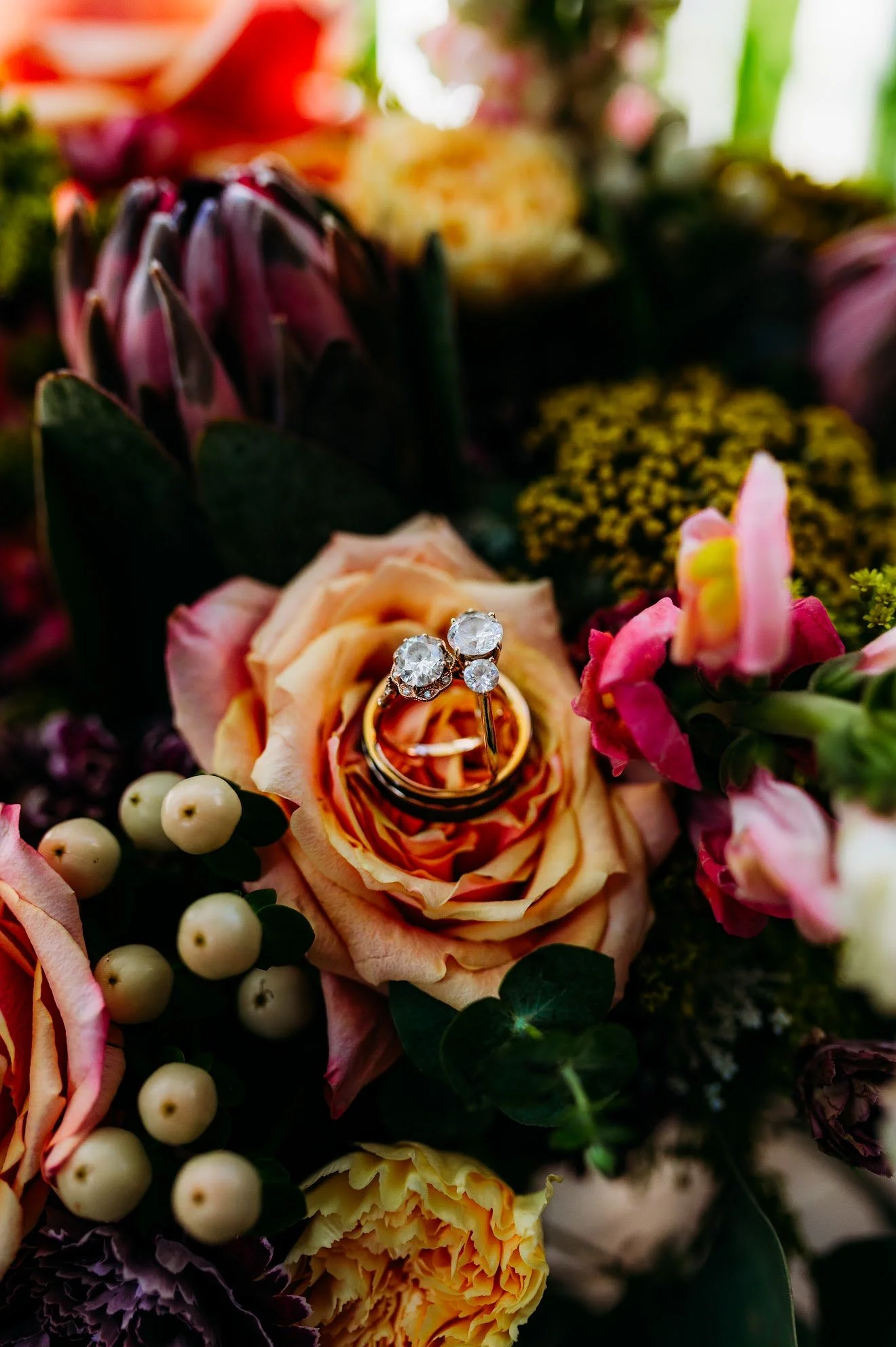 Two diamond rings placed on an orange rose surrounded by various colorful flowers and greenery.