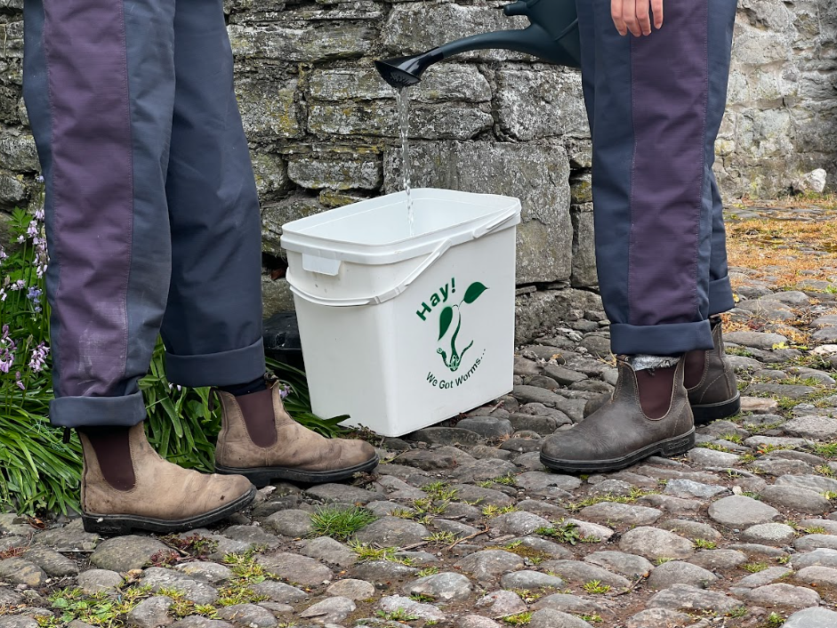 Screenshot 2025-08-08 154237.png