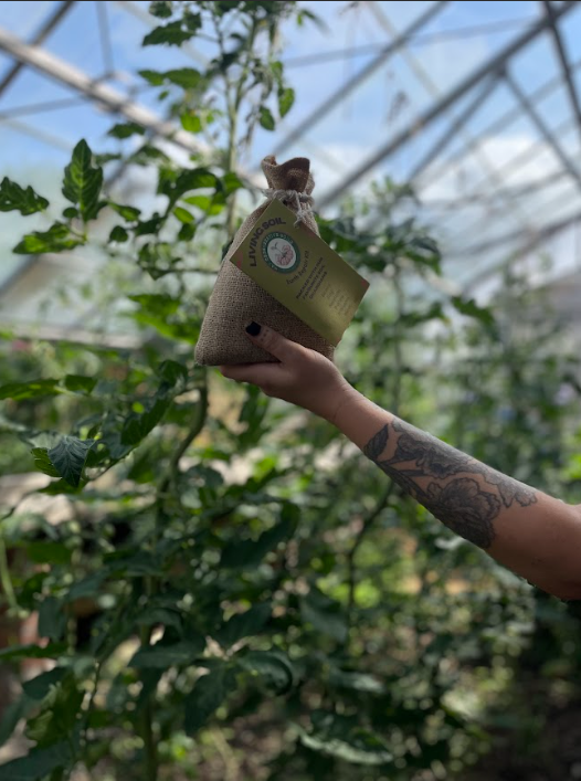 Screenshot 2025-07-31 172011.png