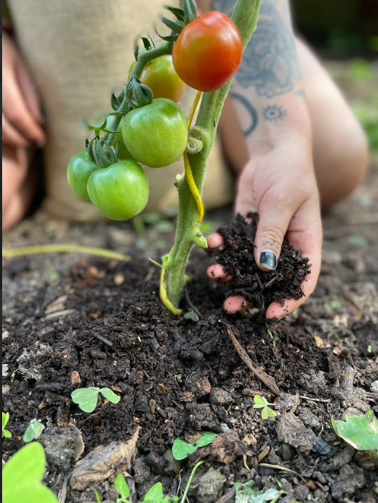 Screenshot 2025-08-08 152431.png